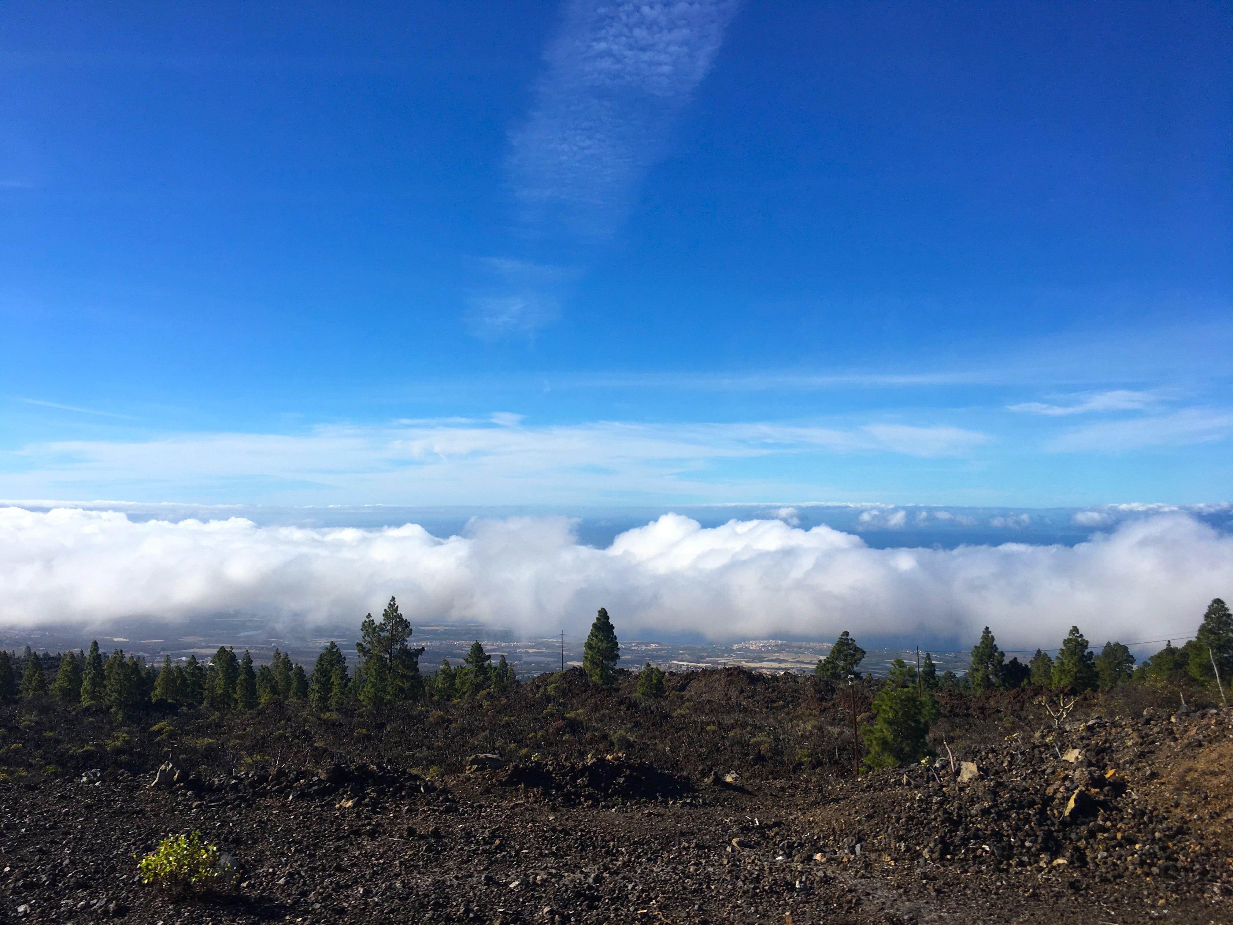 Melina Jurčić Melinadigital Foto
