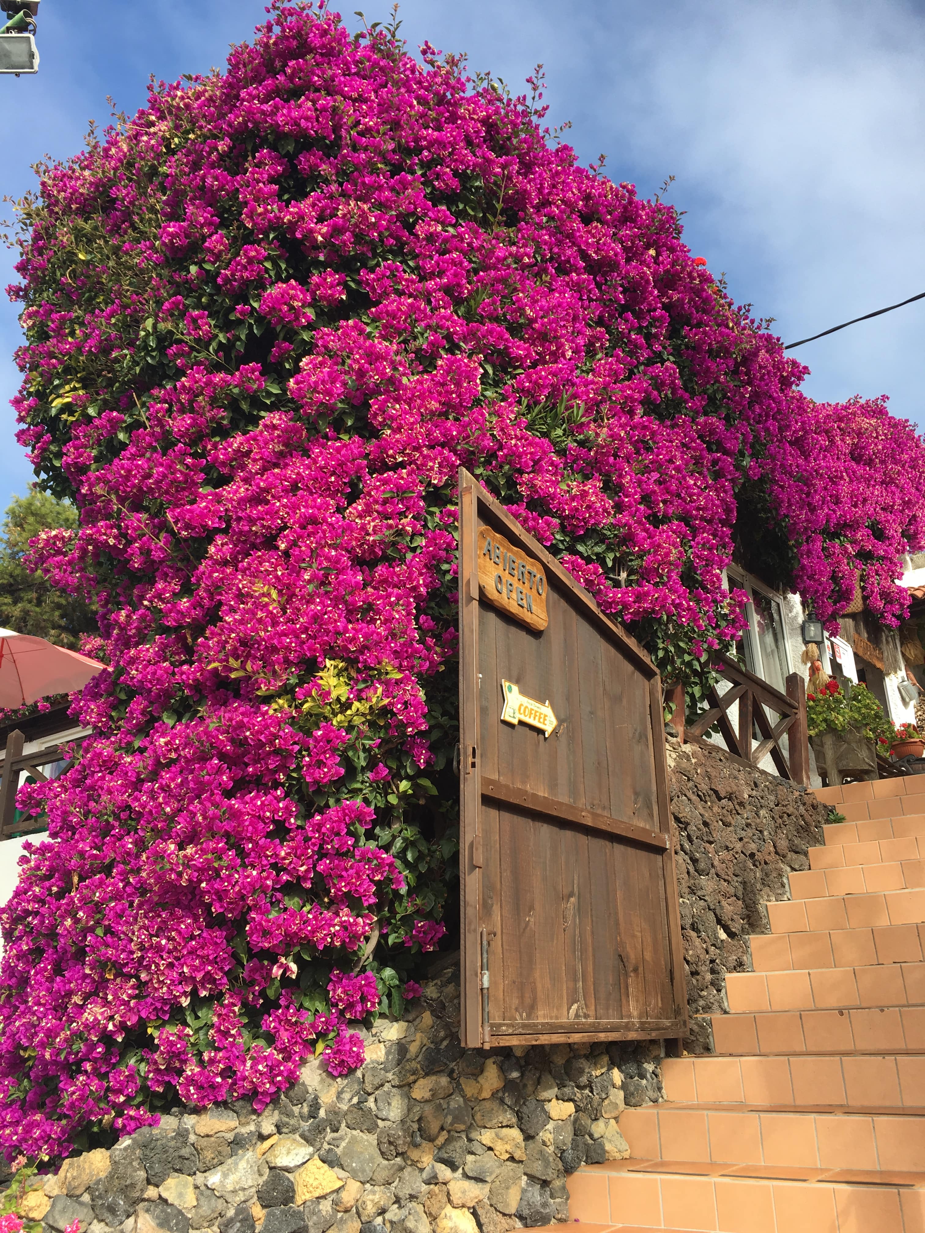 Melina Jurčić Melinadigital Foto