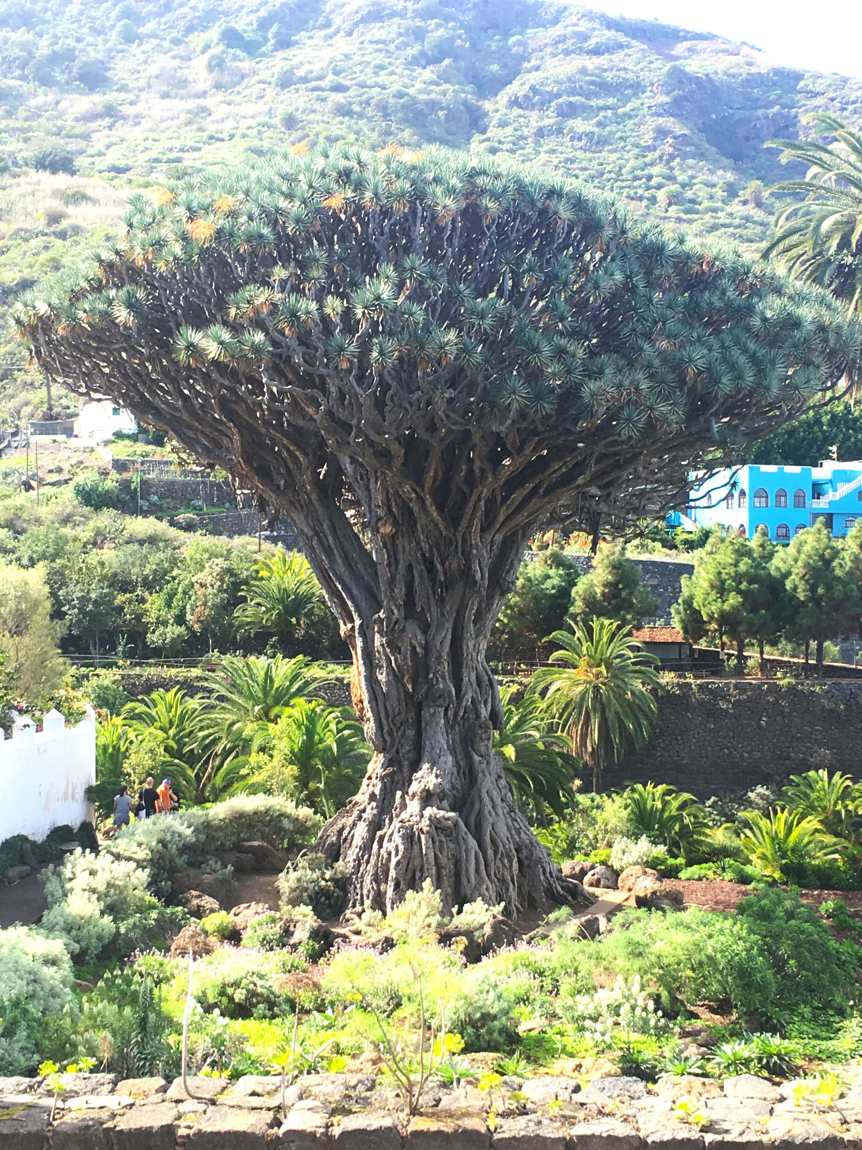 Melina Jurčić Melinadigital Foto