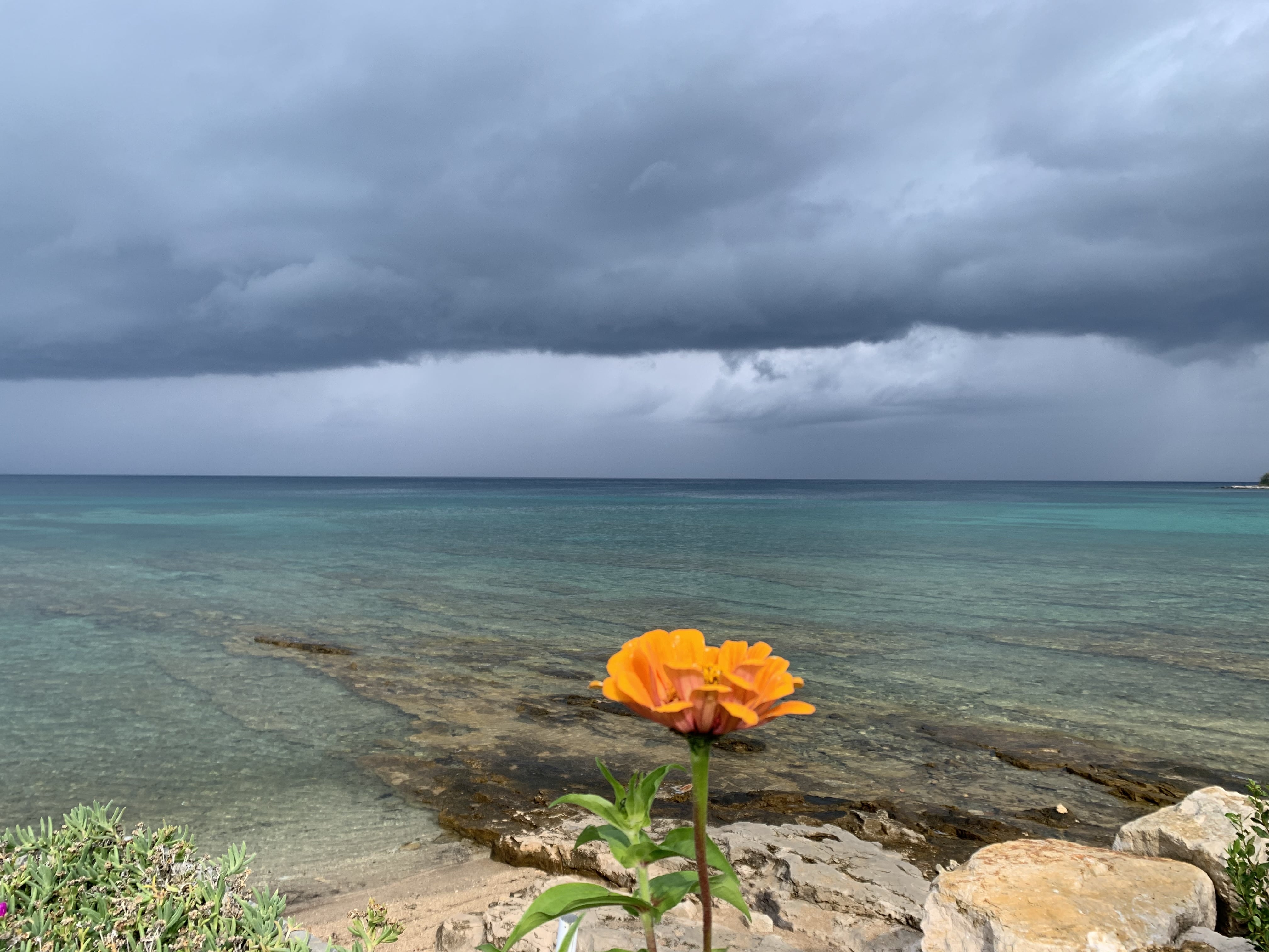 Melina Jurčić Melinadigital Foto