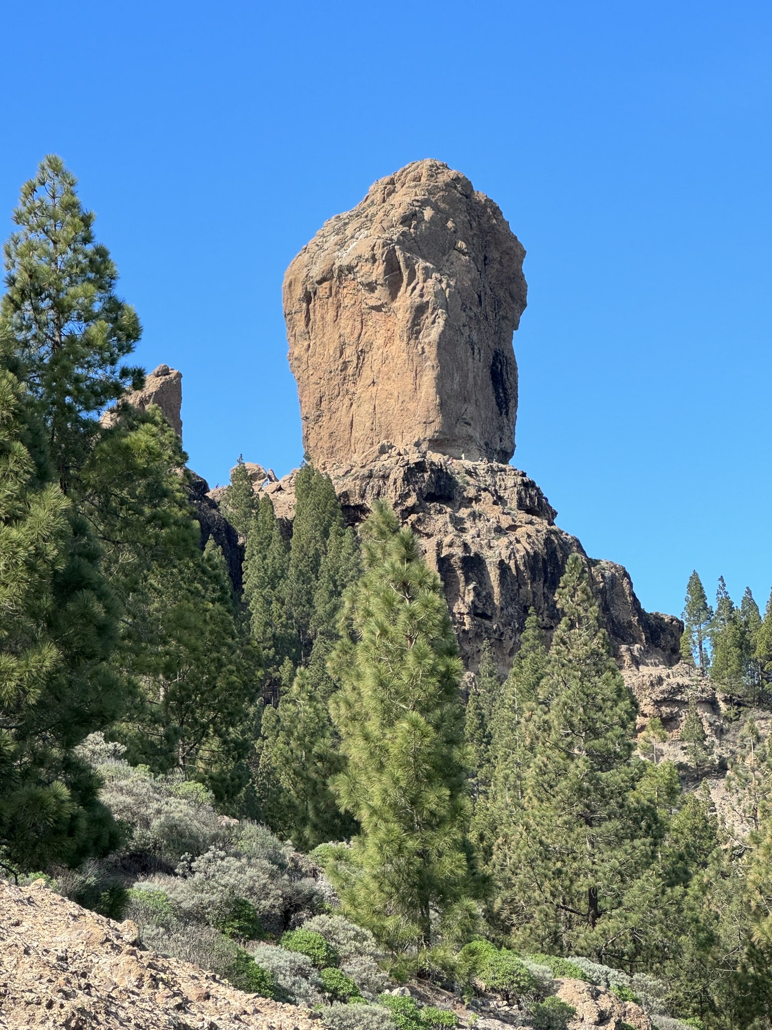 Melina Jurčić Melinadigital Foto