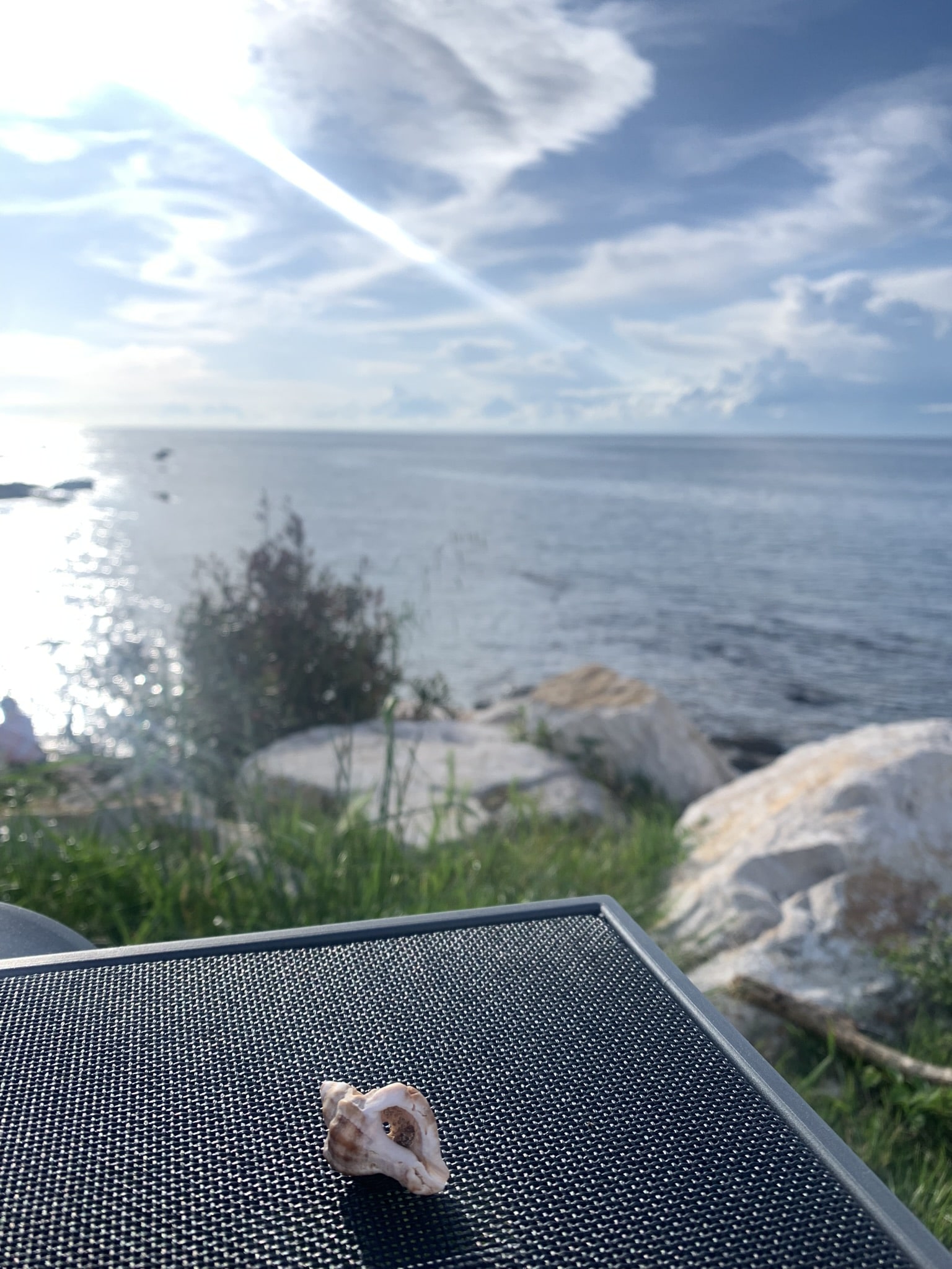 Melina Jurčić Melinadigital Foto