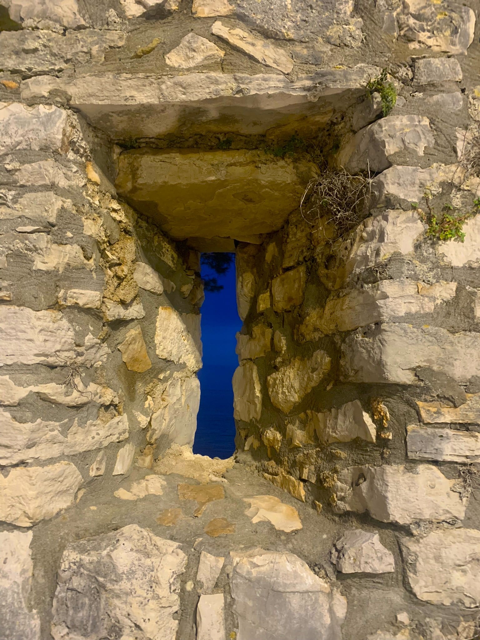 Melina Jurčić Melinadigital Foto