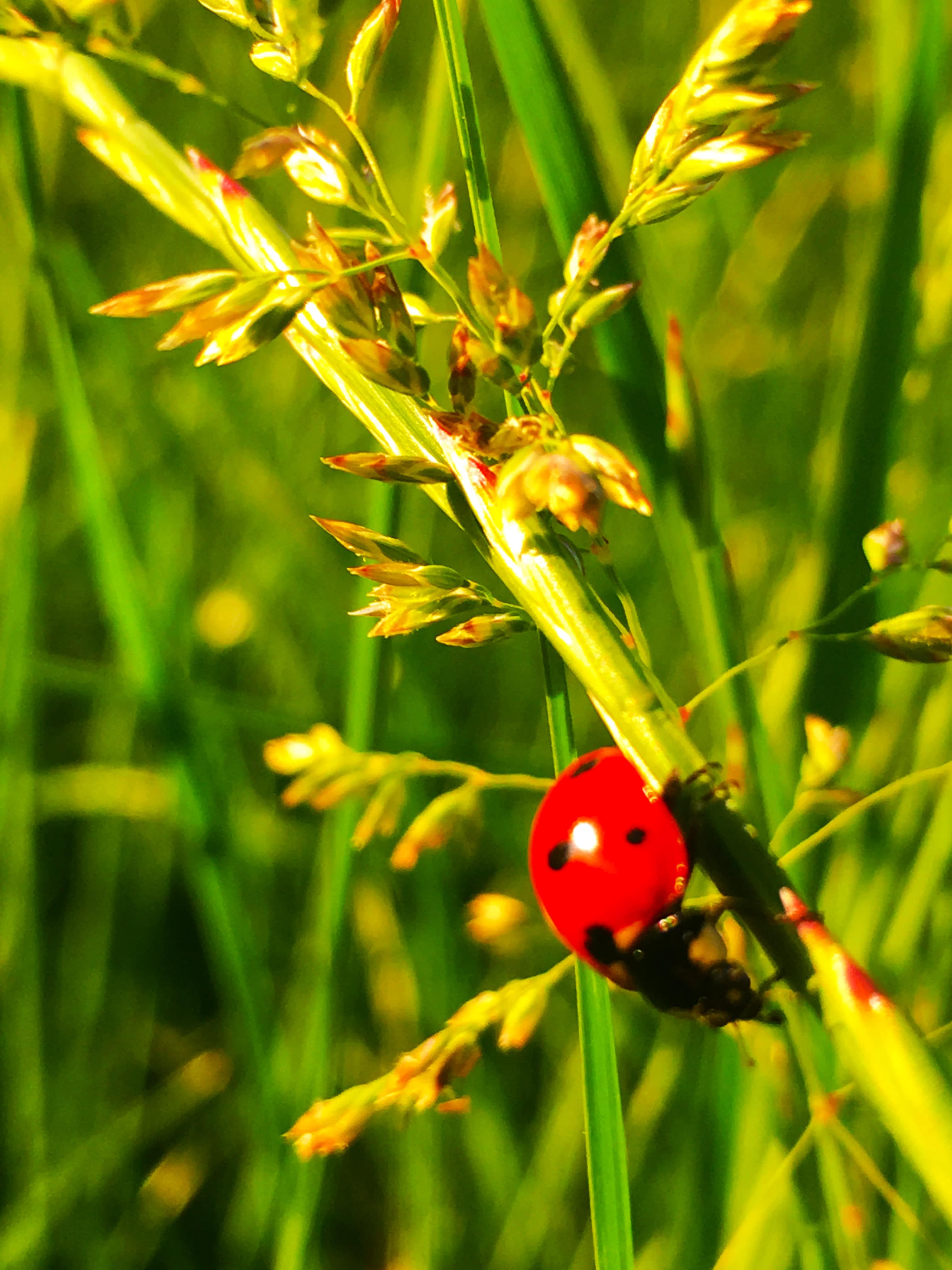 Melina Jurčić Melinadigital Foto