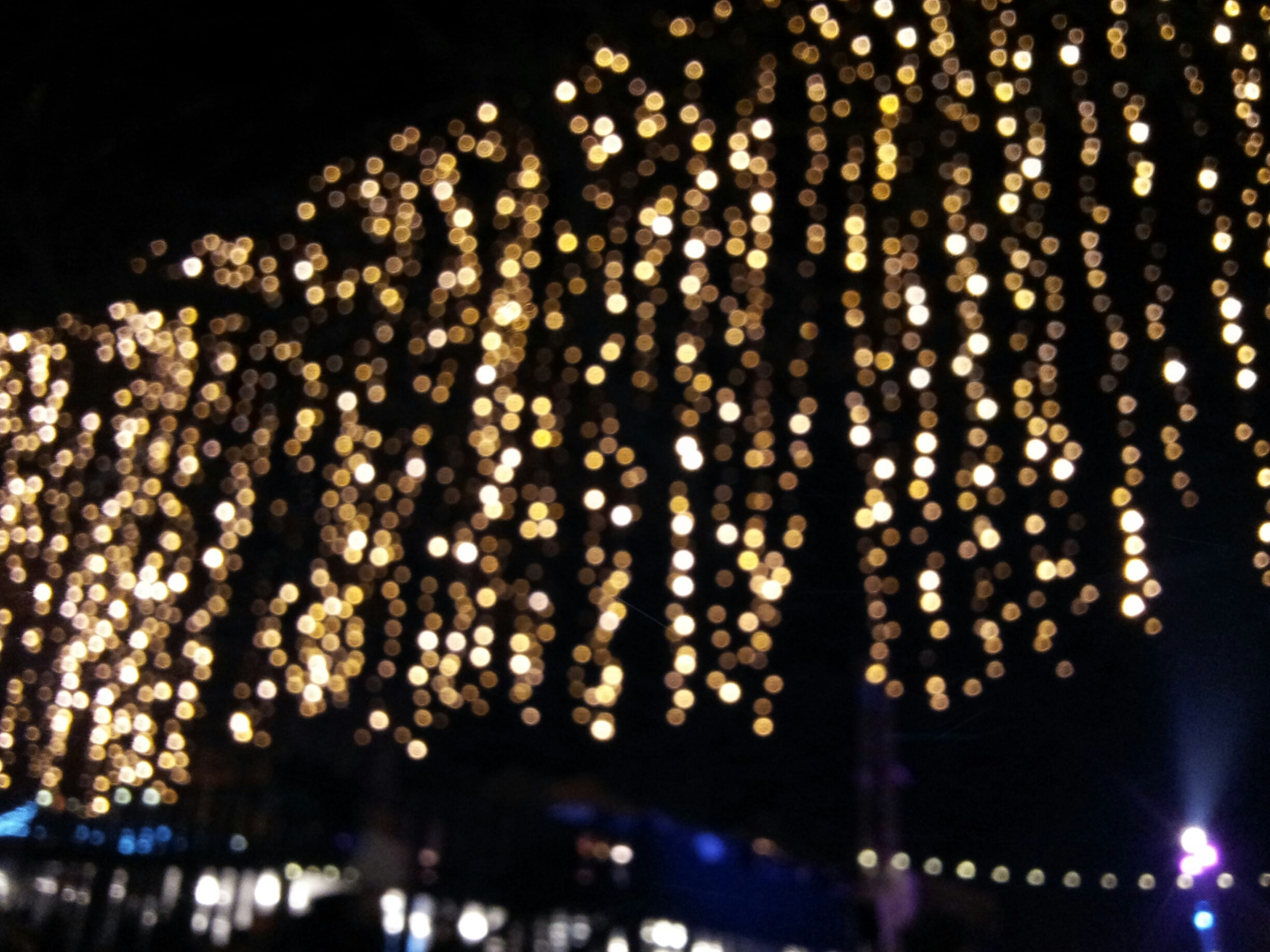 Melina Jurčić Melinadigital Foto