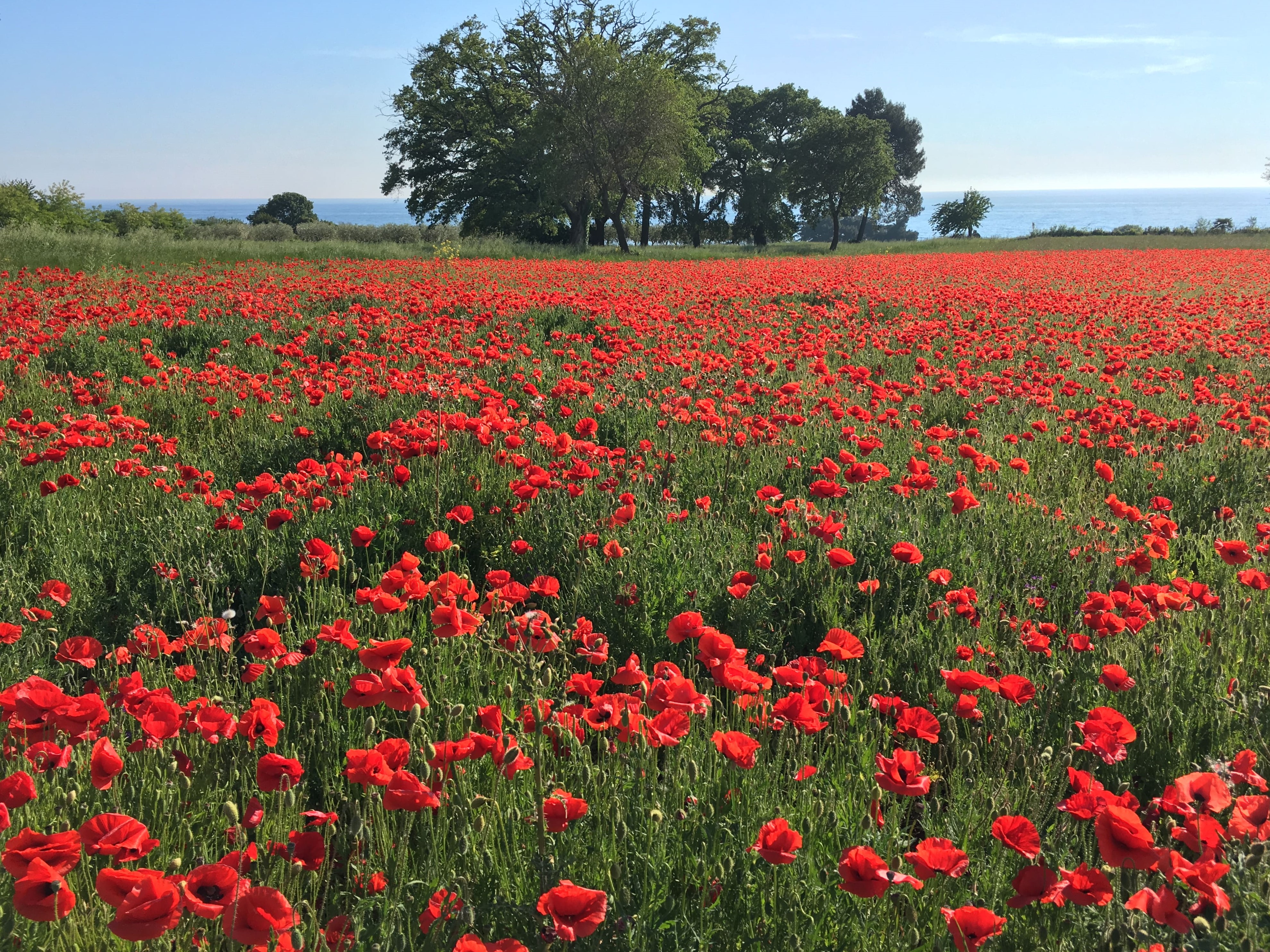 Melina Jurčić Melinadigital Foto