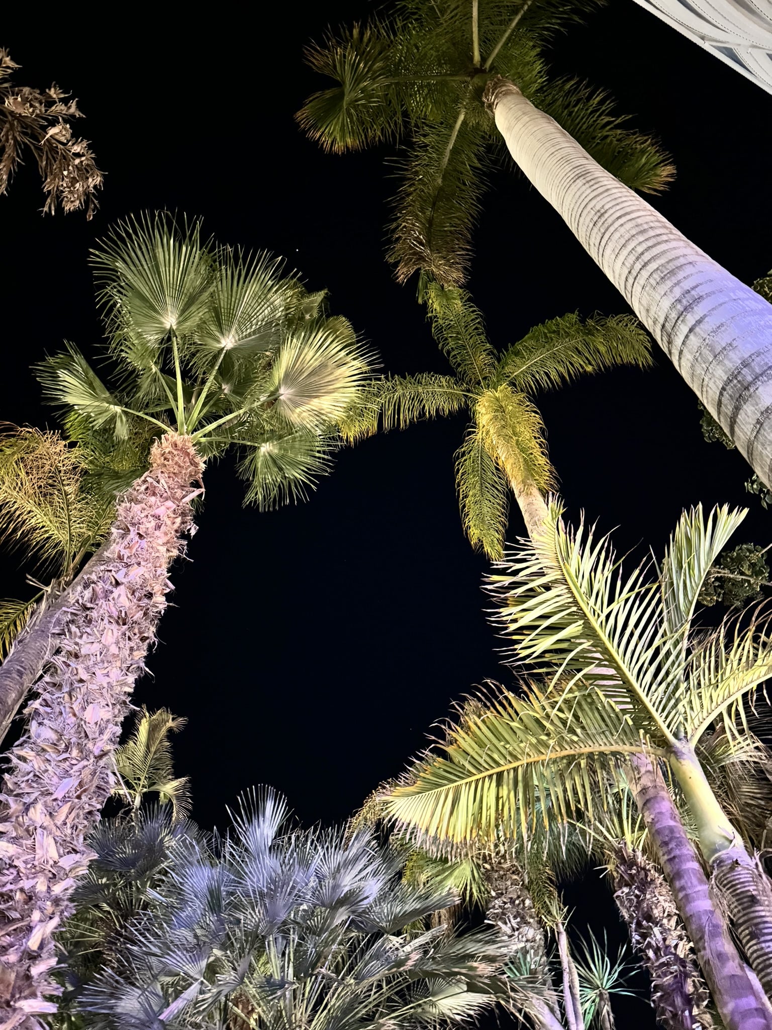 Melina Jurčić Melinadigital Foto