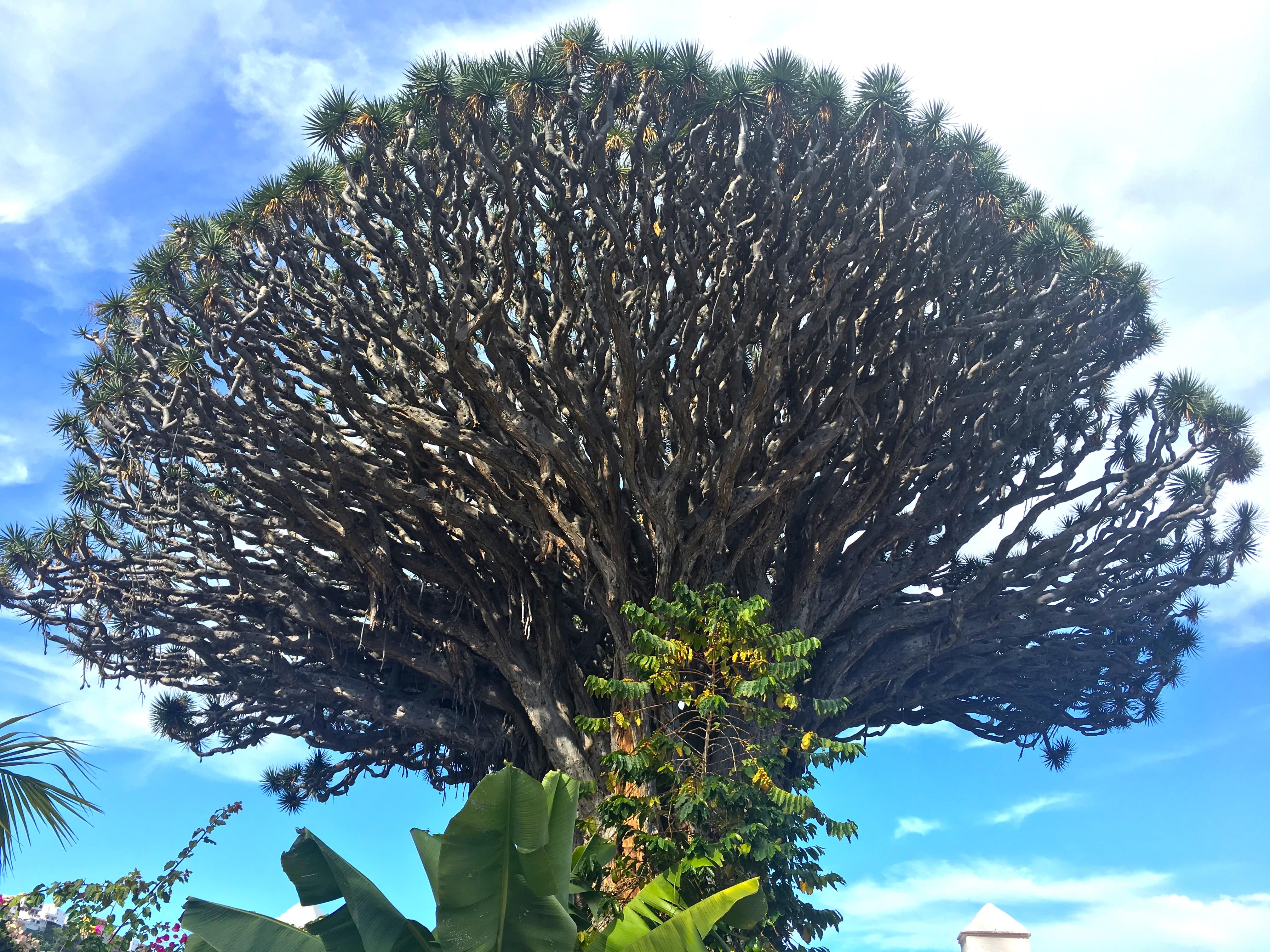 Melina Jurčić Melinadigital Foto