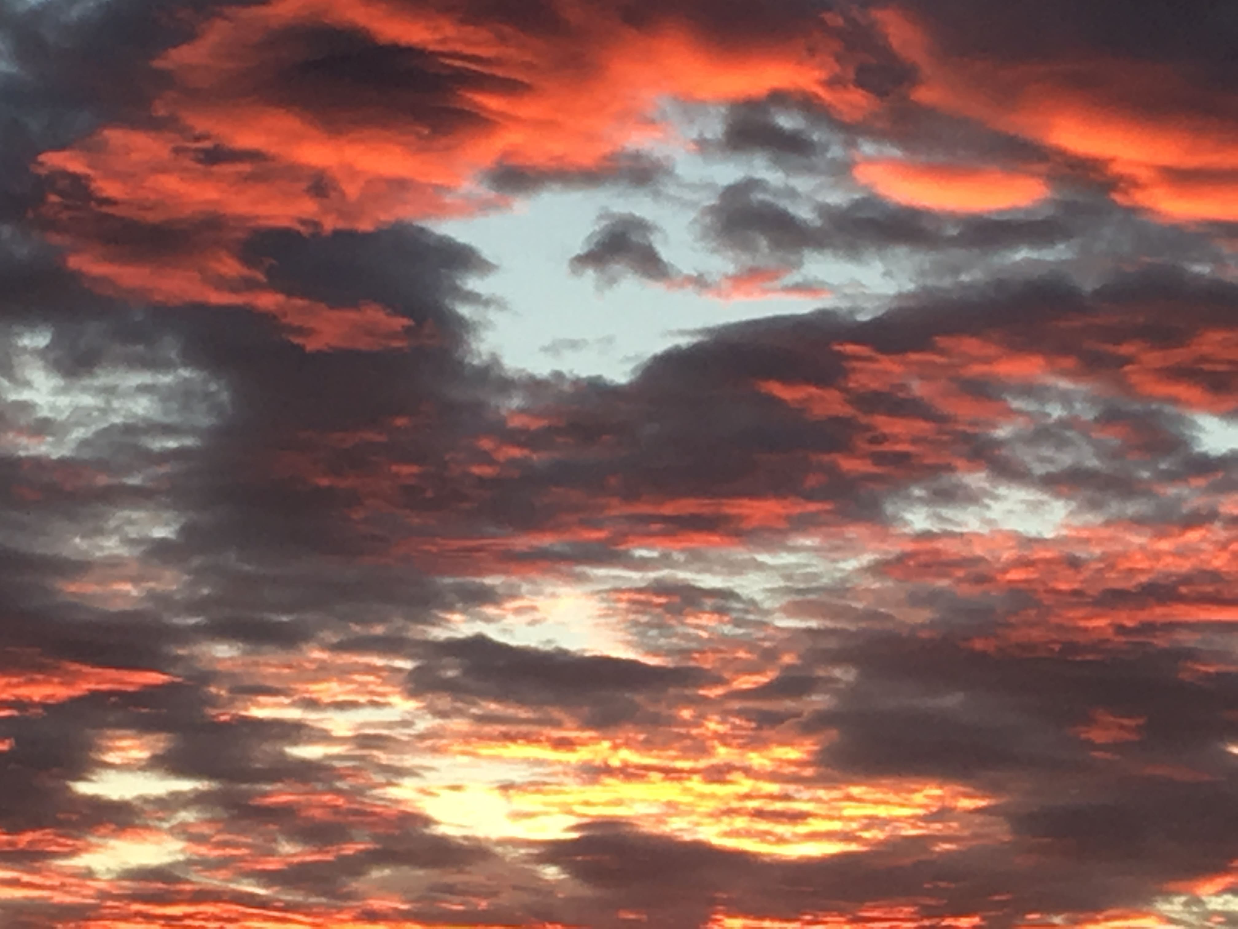 Melina Jurčić Melinadigital Foto