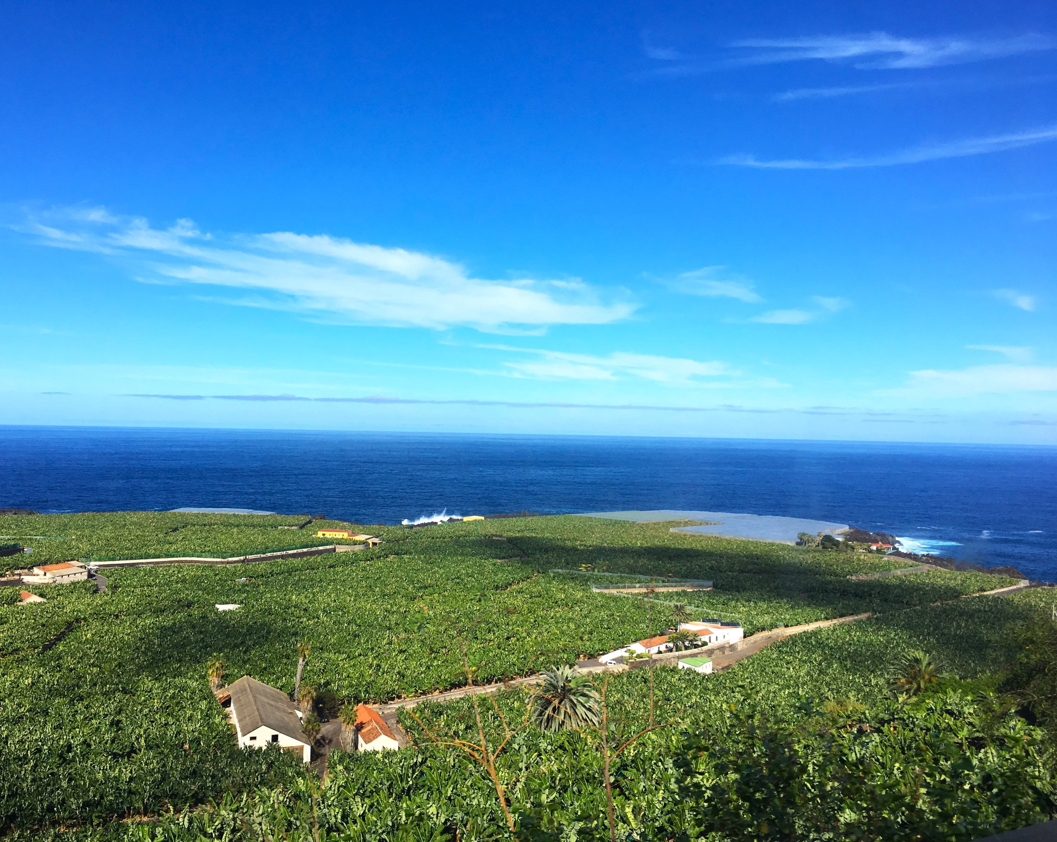 Melina Jurčić Melinadigital Foto