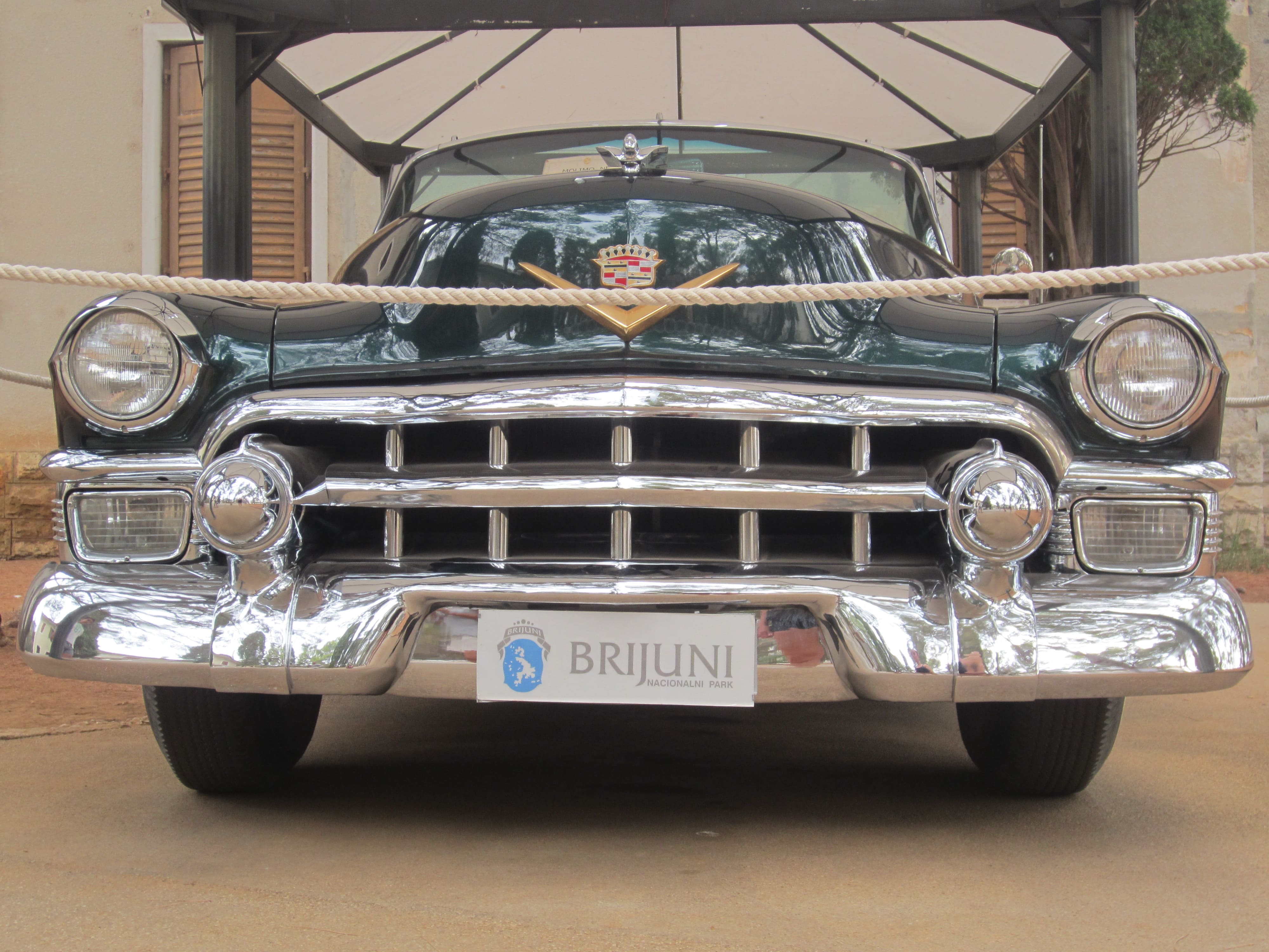 Melina Jurčić Melinadigital Foto