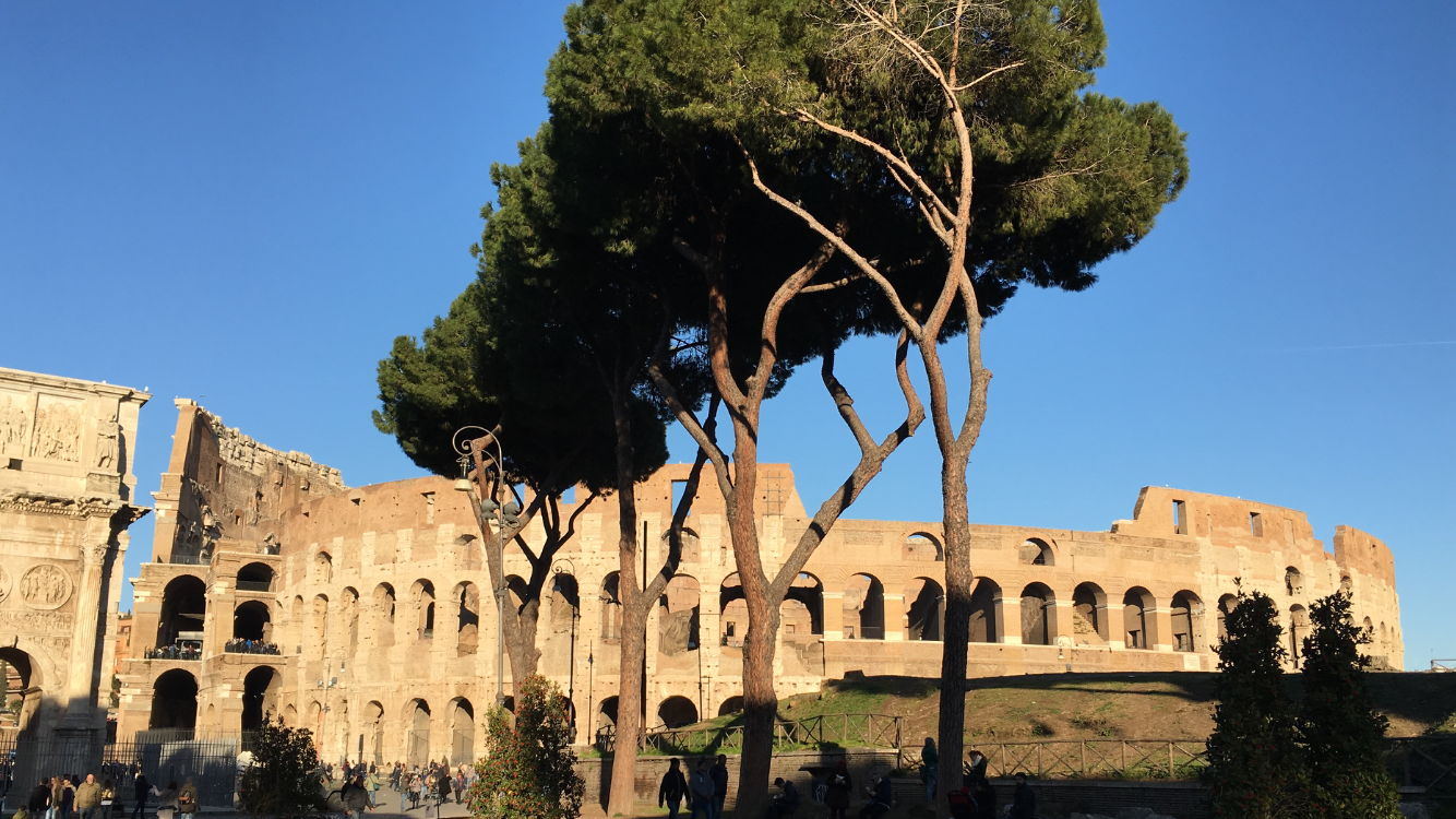 Melina Jurčić Melinadigital Foto