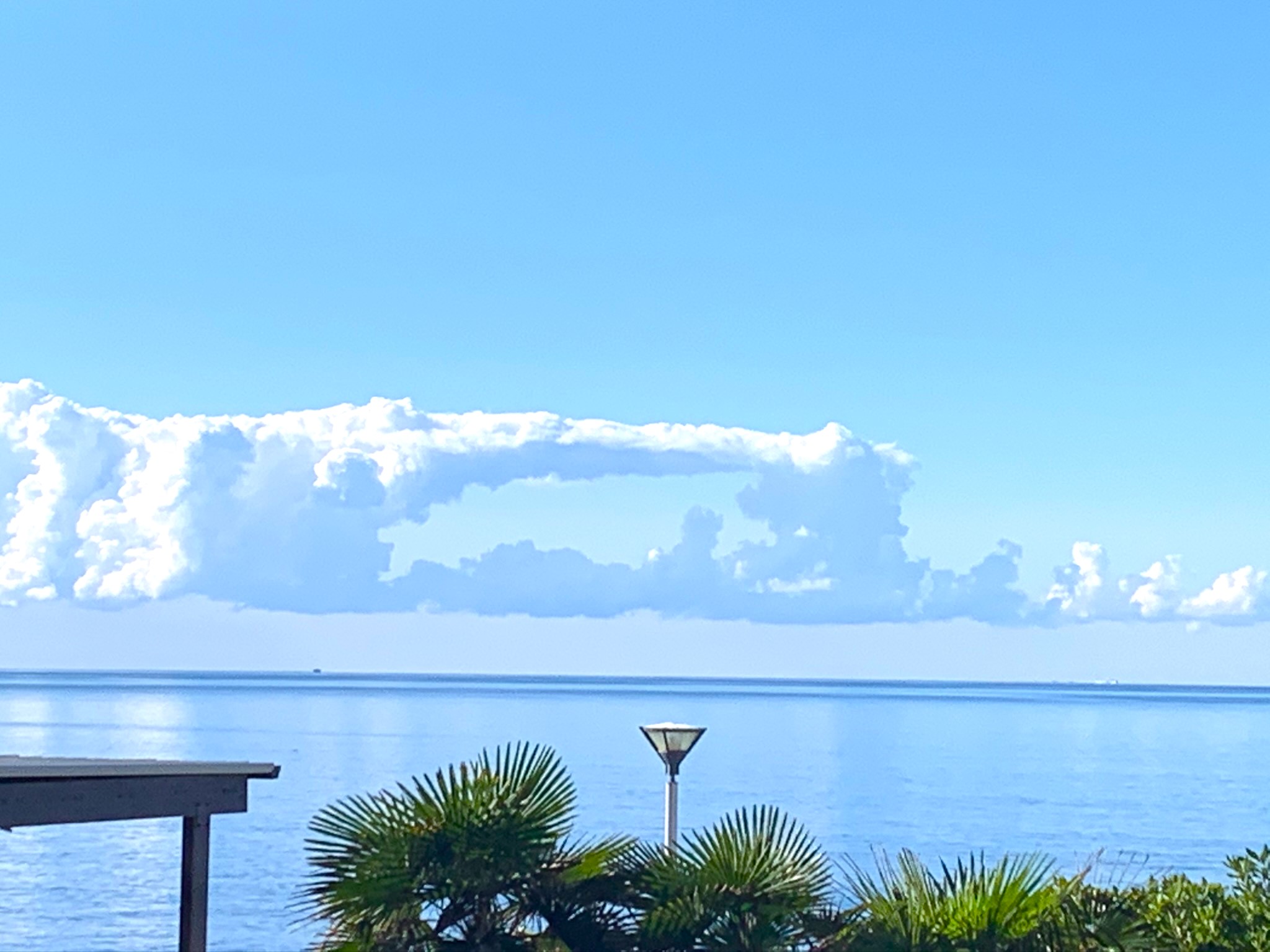 Melina Jurčić Melinadigital Foto