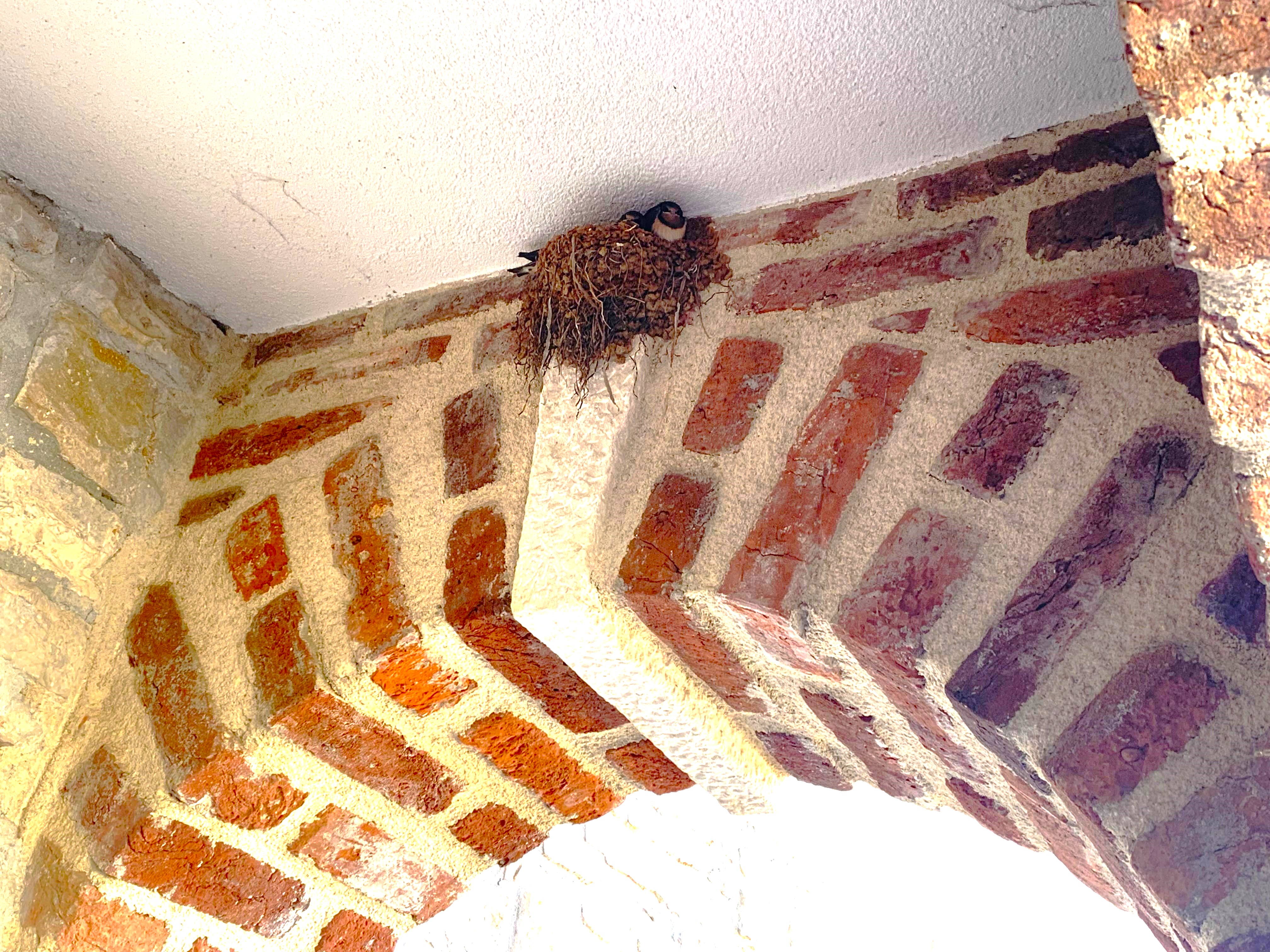 Melina Jurčić Melinadigital Foto