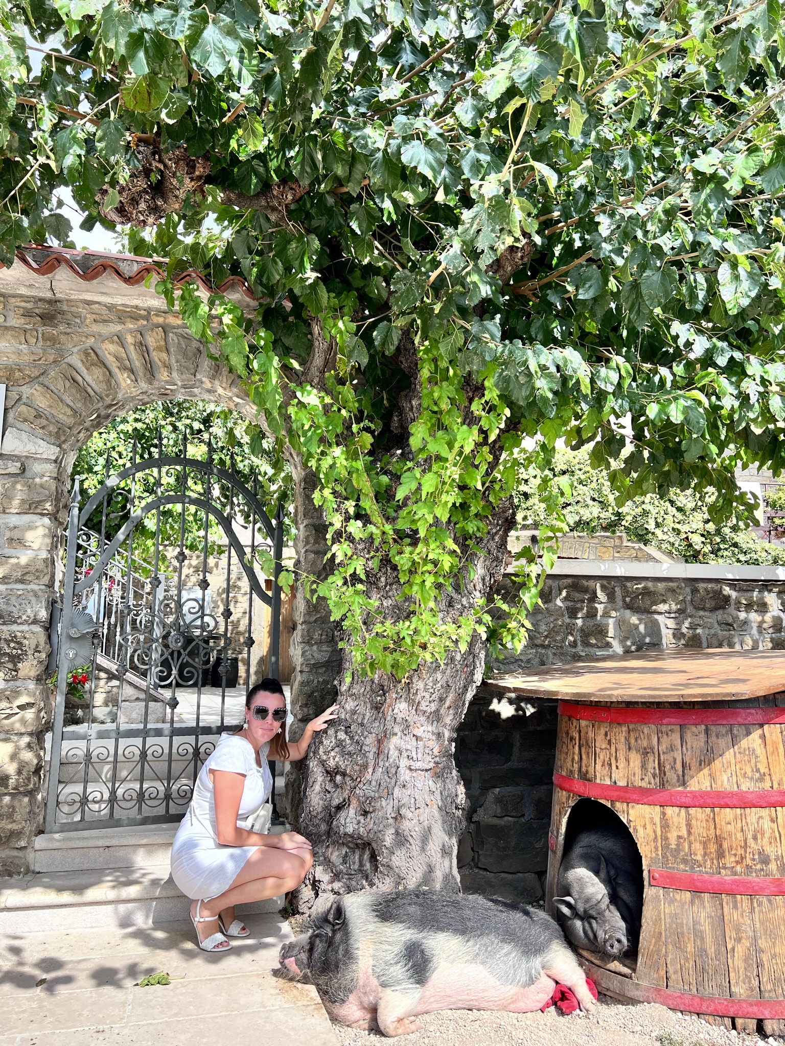 Melina Jurčić Melinadigital Foto