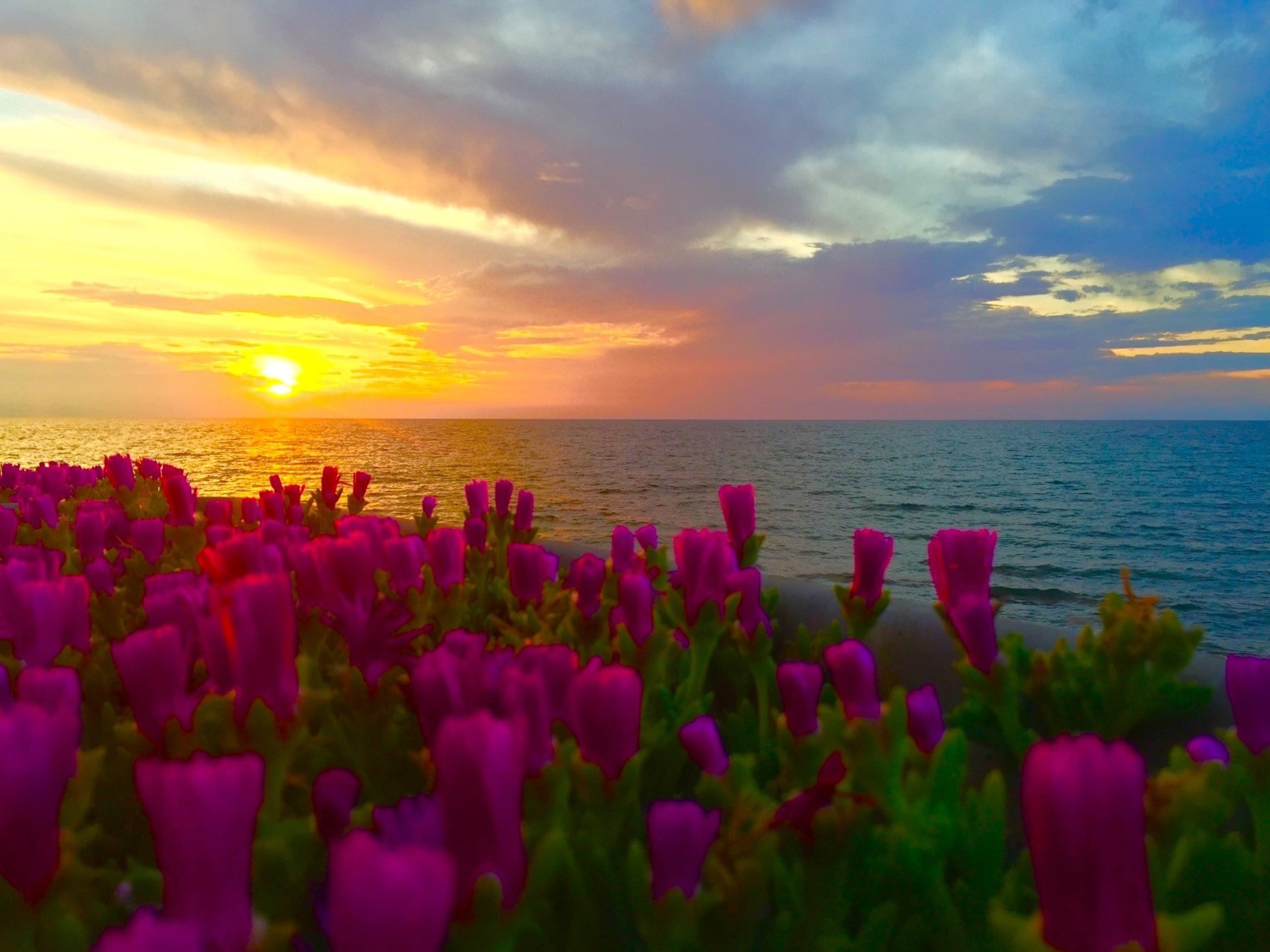 Melina Jurčić Melinadigital Foto