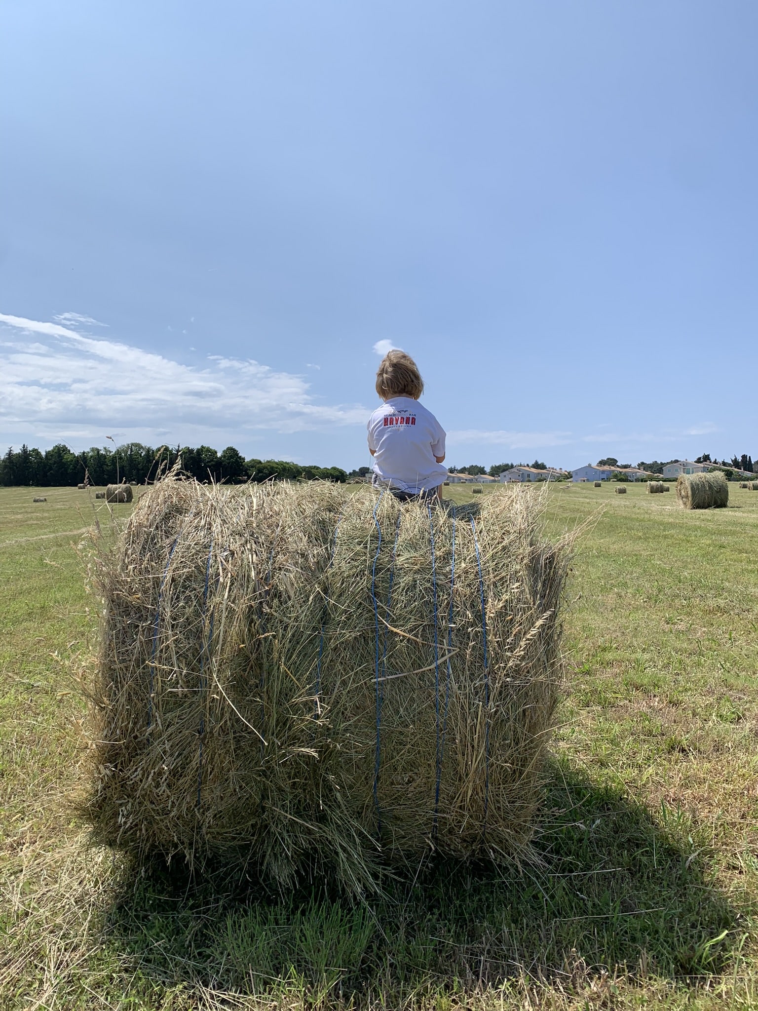 Melina Jurčić Melinadigital Foto