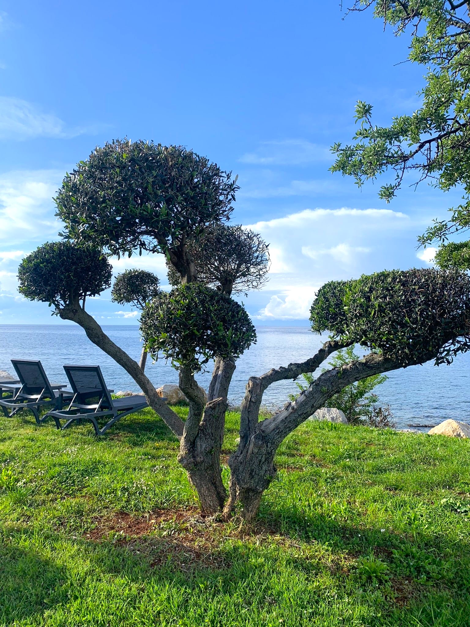 Melina Jurčić Melinadigital Foto