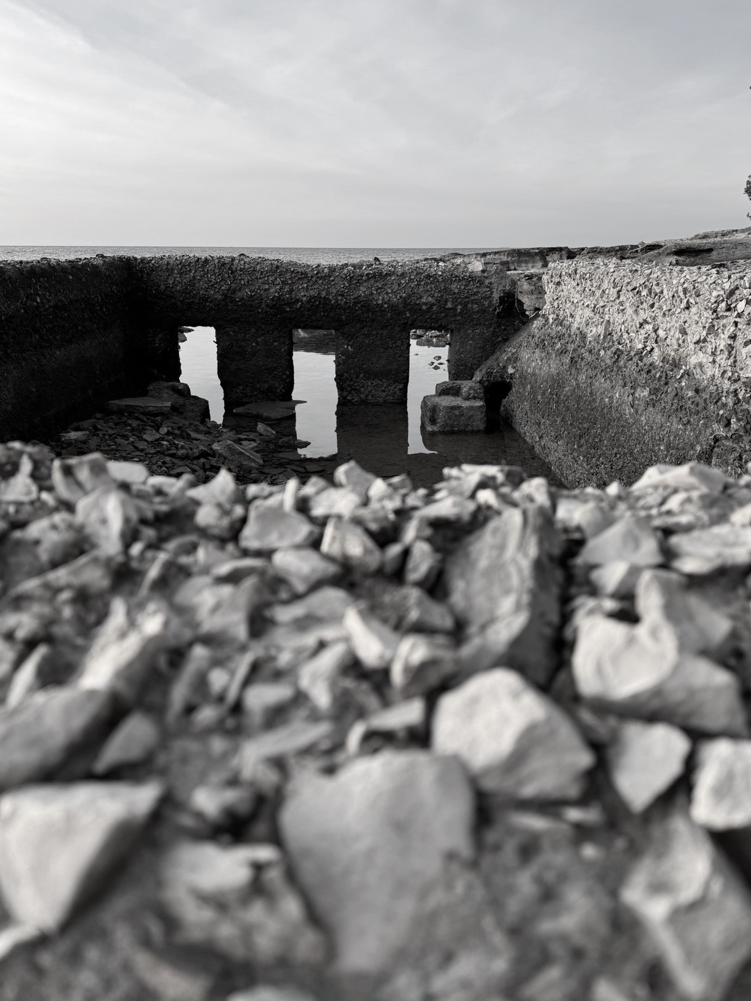 Melina Jurčić Melinadigital Foto