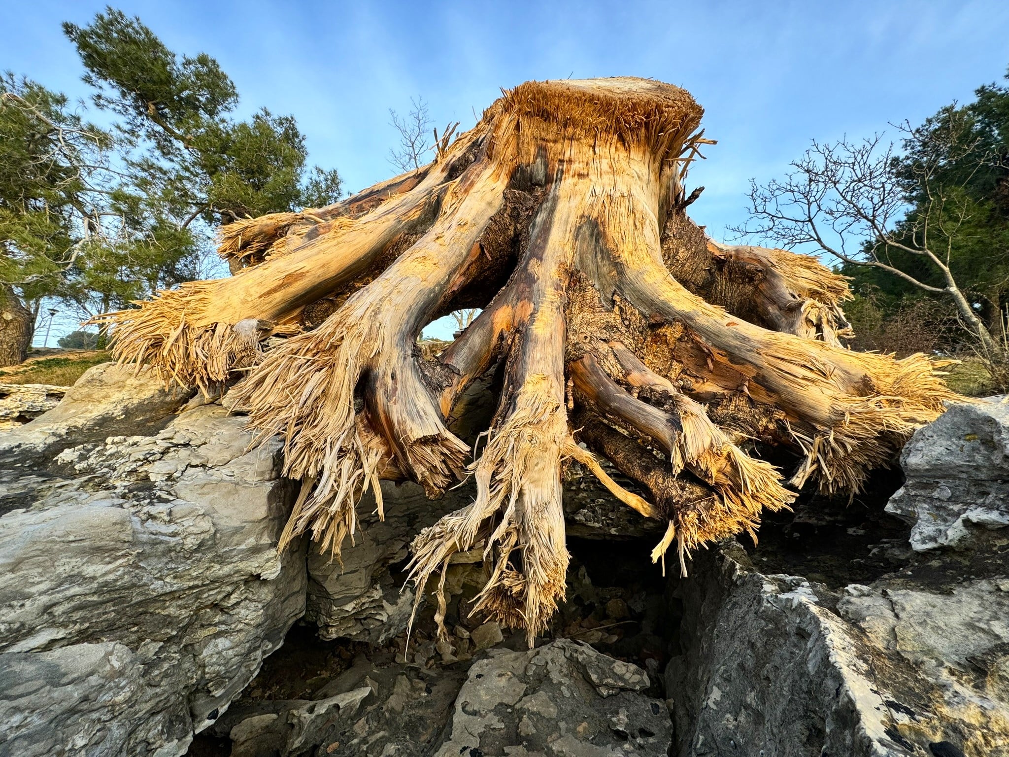 Melina Jurčić Melinadigital Foto