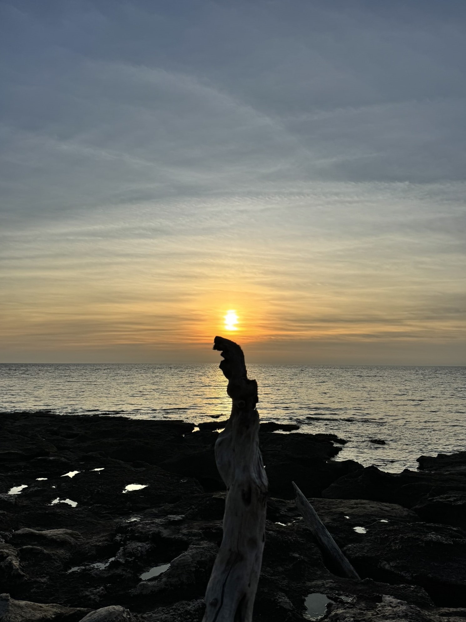 Melina Jurčić Melinadigital Foto