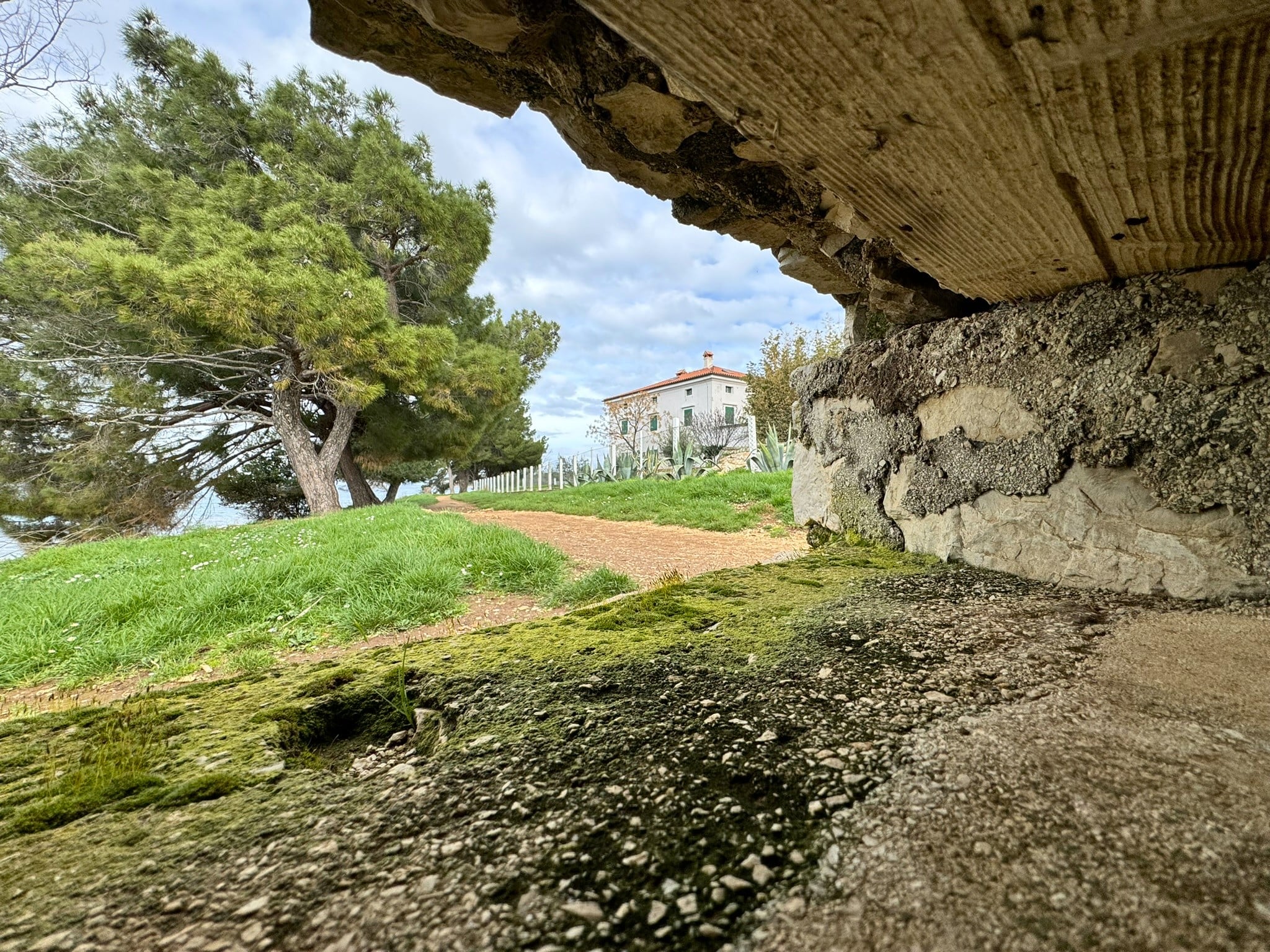 Melina Jurčić Melinadigital Foto