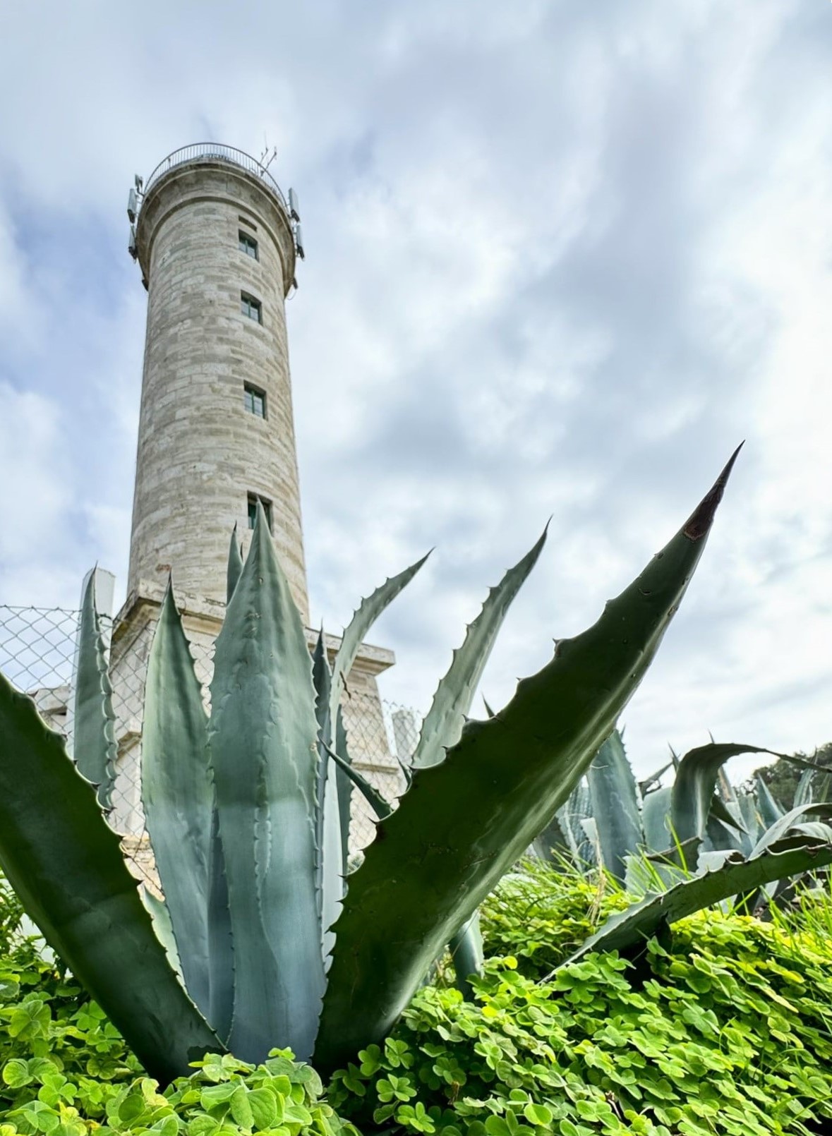 Melina Jurčić Melinadigital Foto