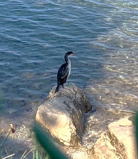 Melina Jurčić Melinadigital Foto