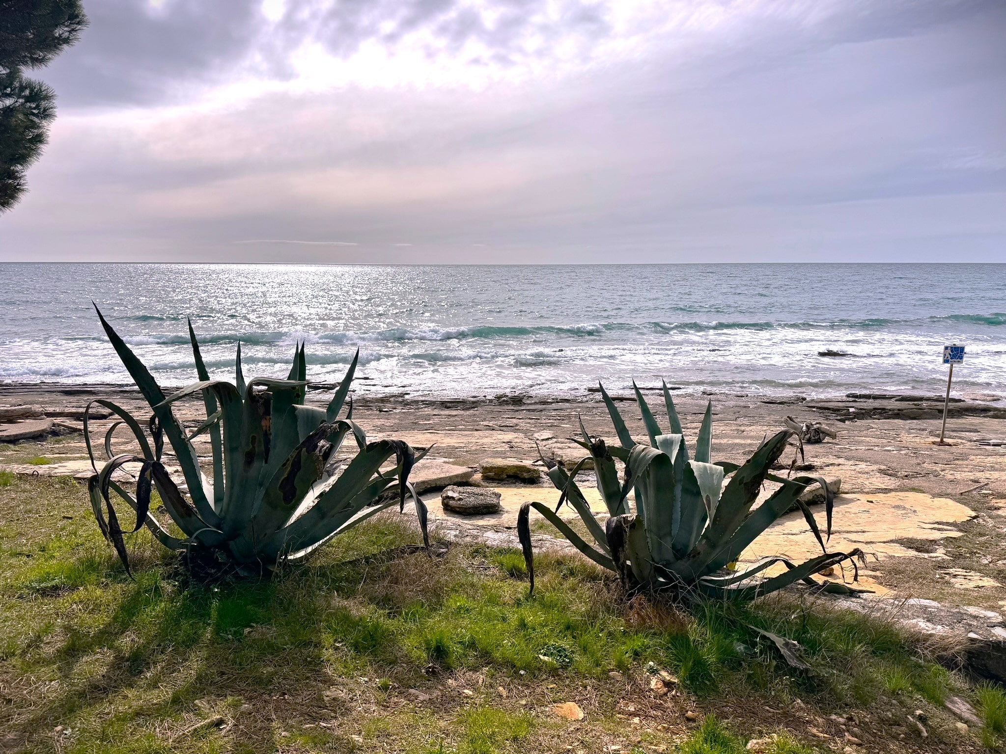 Melina Jurčić Melinadigital Foto