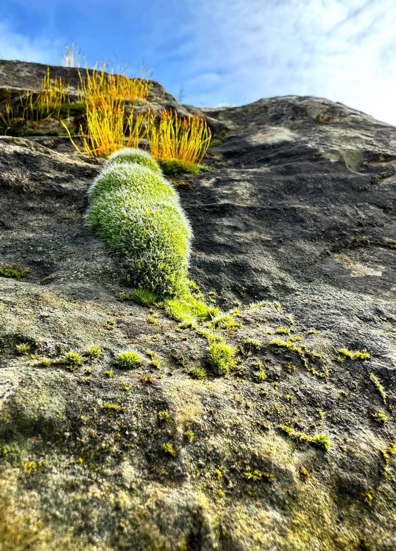 Melina Jurčić Melinadigital Foto