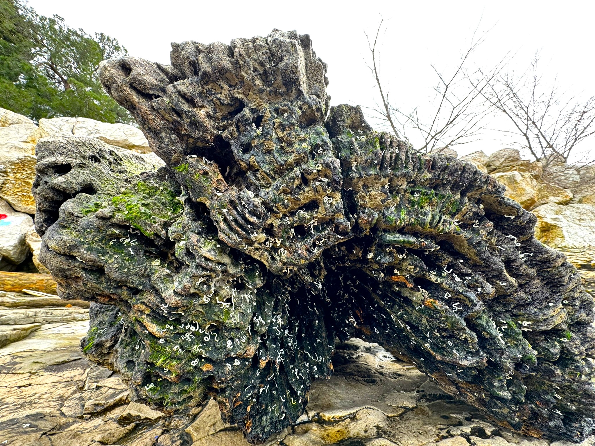 Melina Jurčić Melinadigital Foto