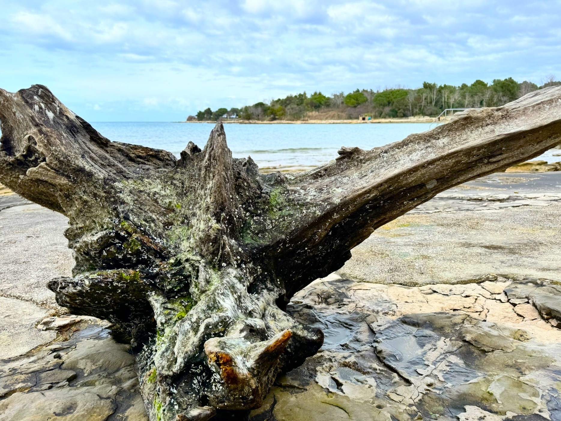 Melina Jurčić Melinadigital Foto
