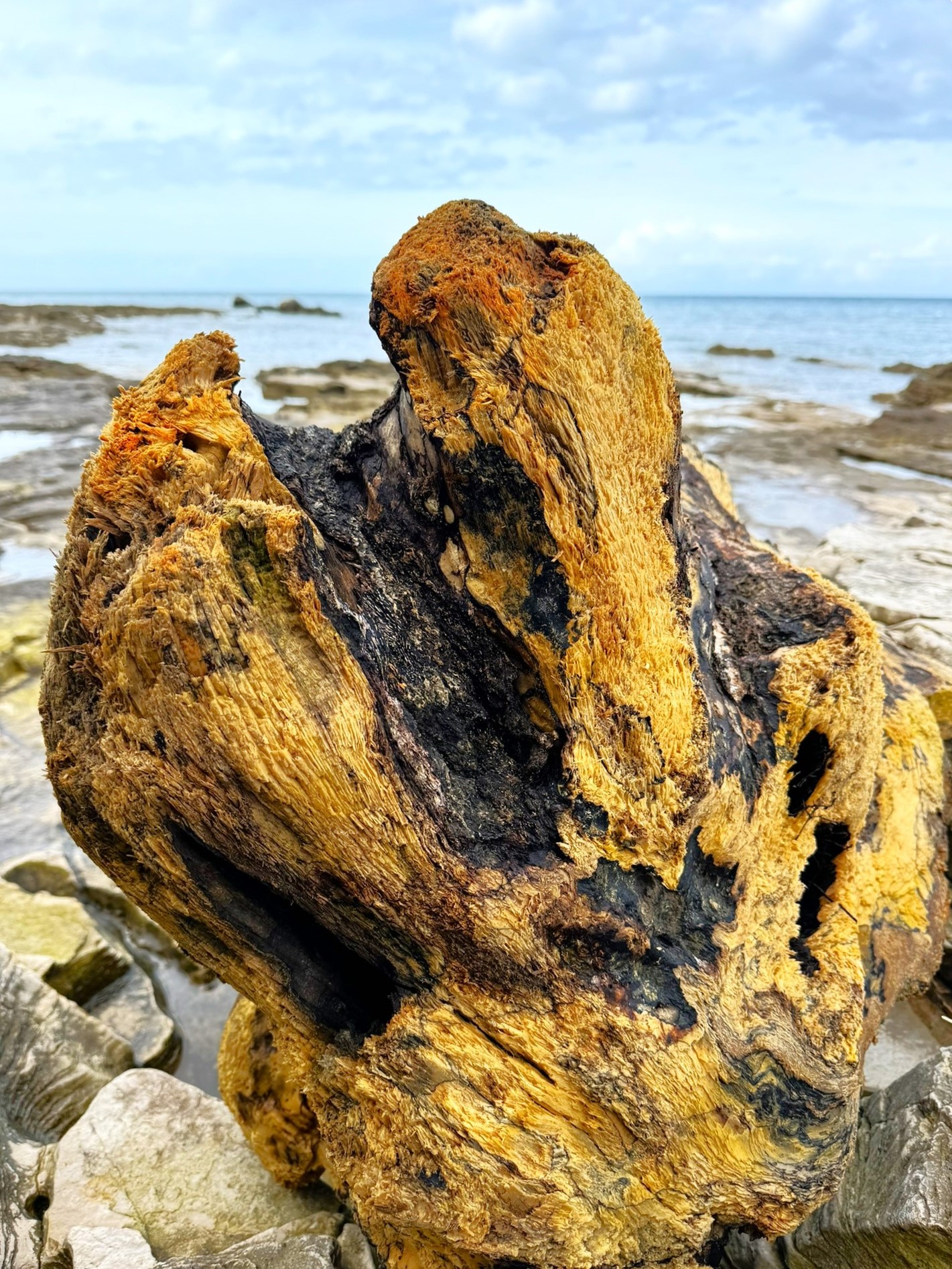 Melina Jurčić Melinadigital Foto