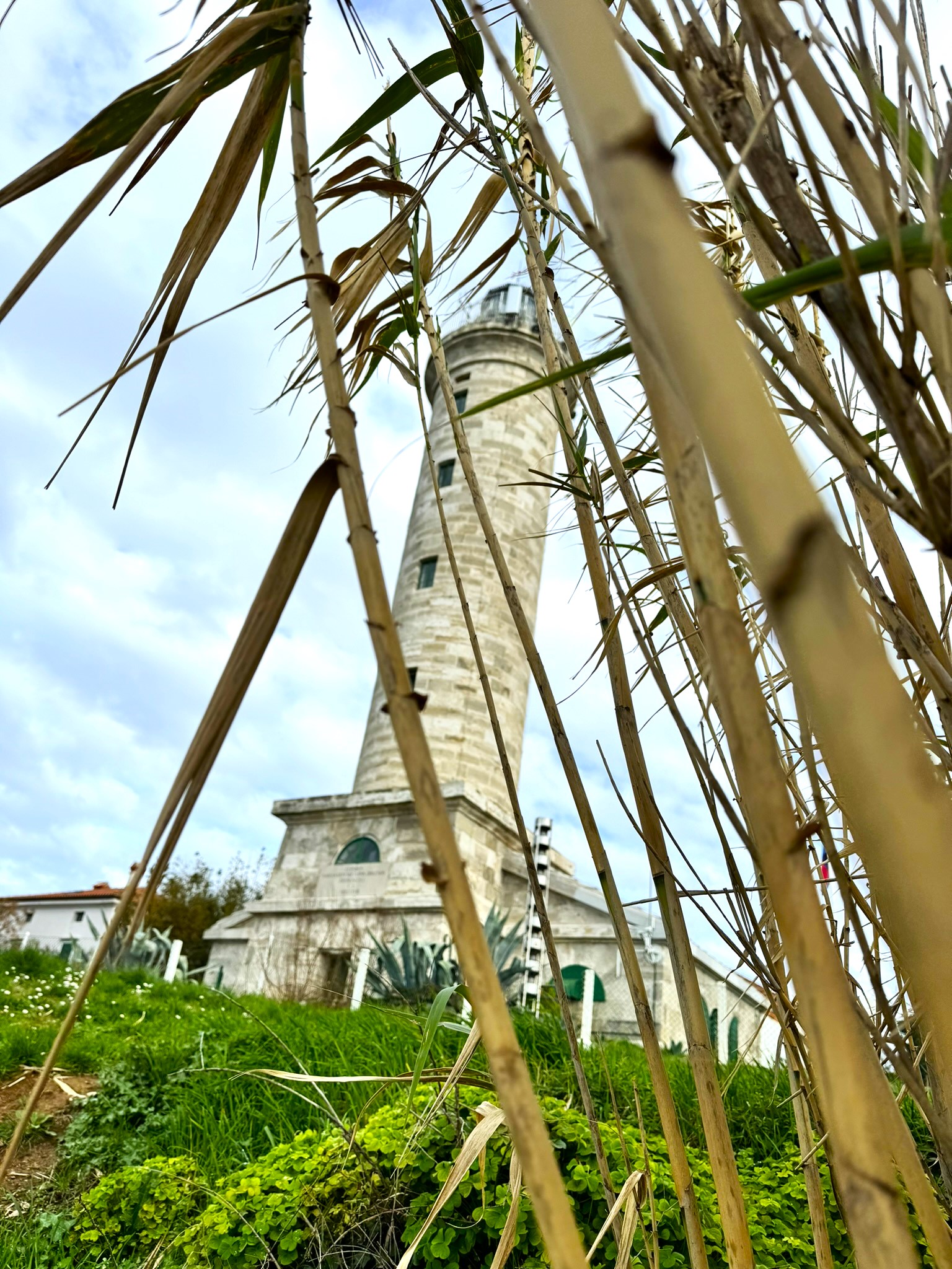 Melina Jurčić Melinadigital Foto