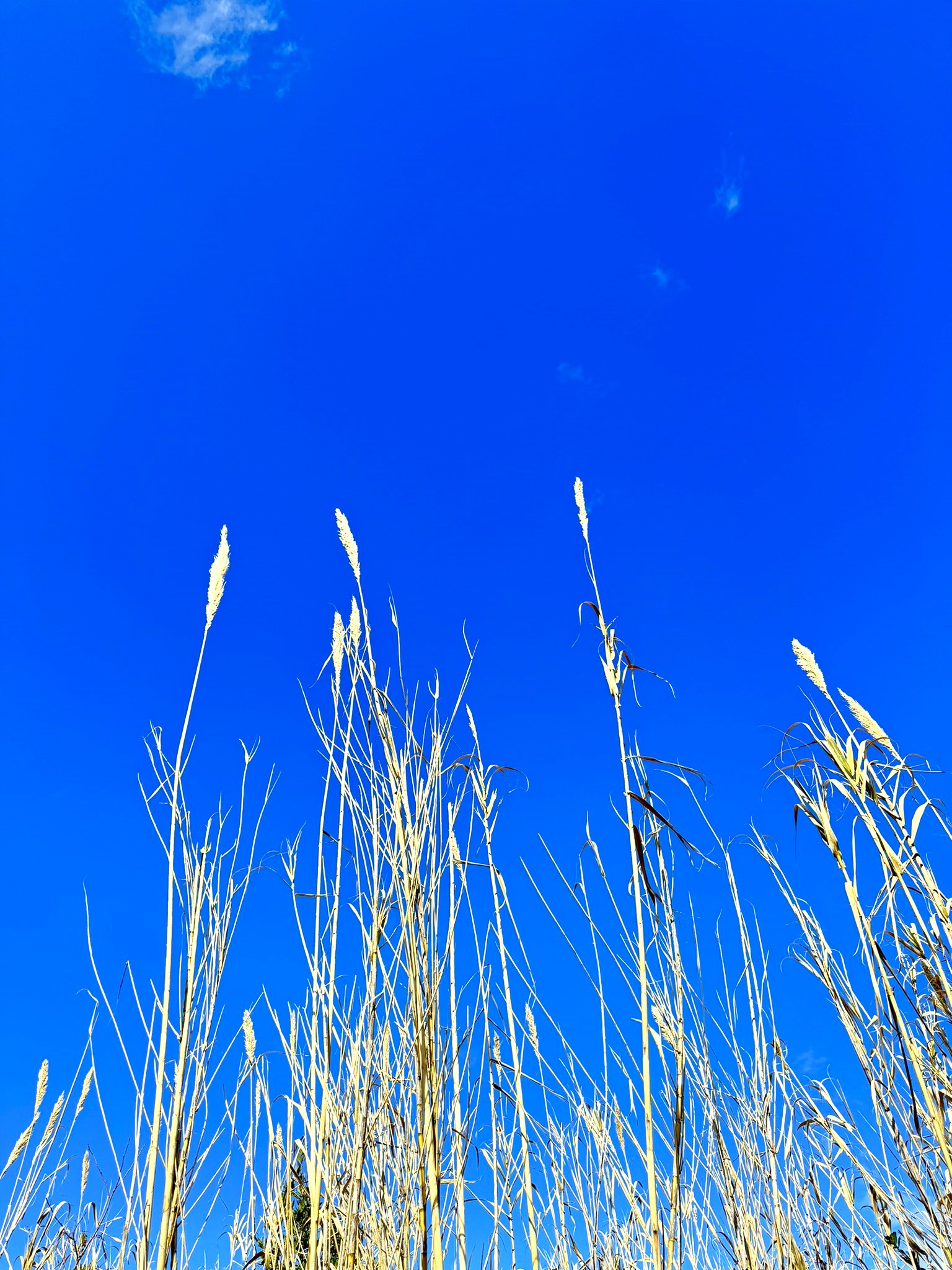 Melina Jurčić Melinadigital Foto