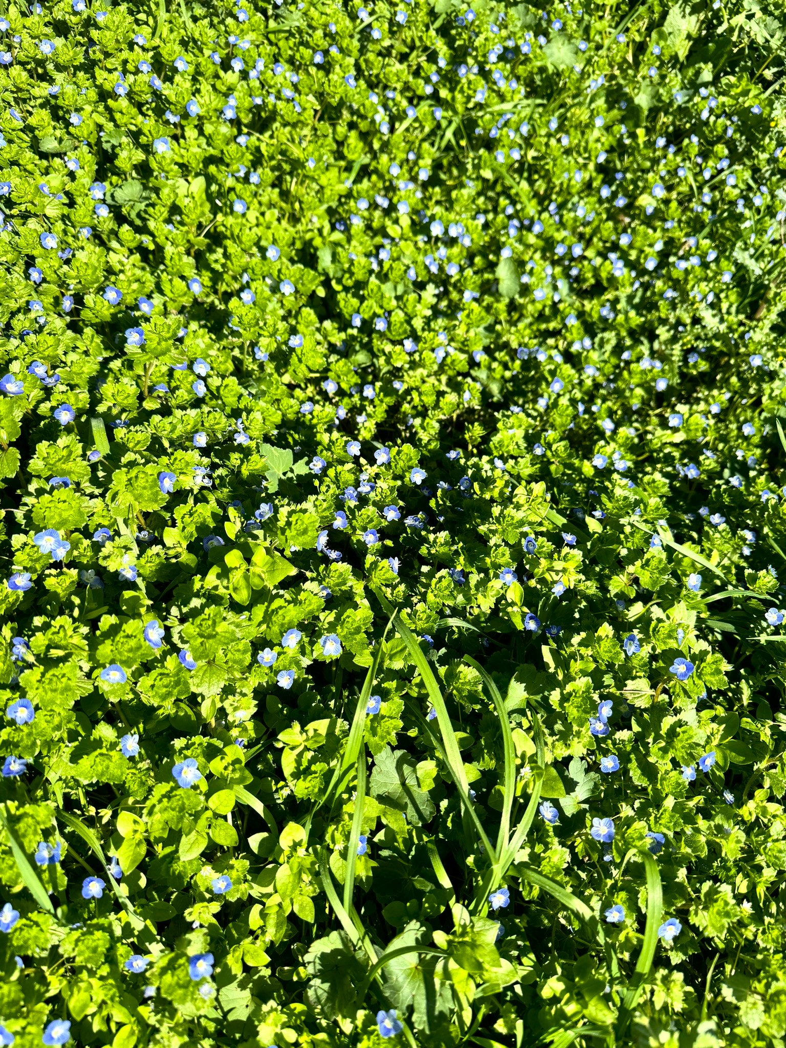 Melina Jurčić Melinadigital Foto