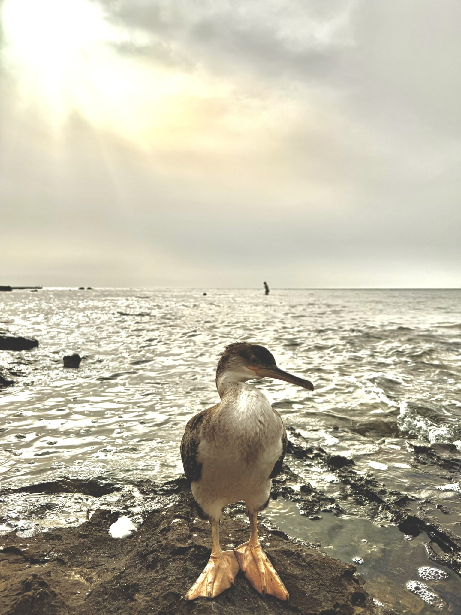 Melina Jurčić Melinadigital Foto