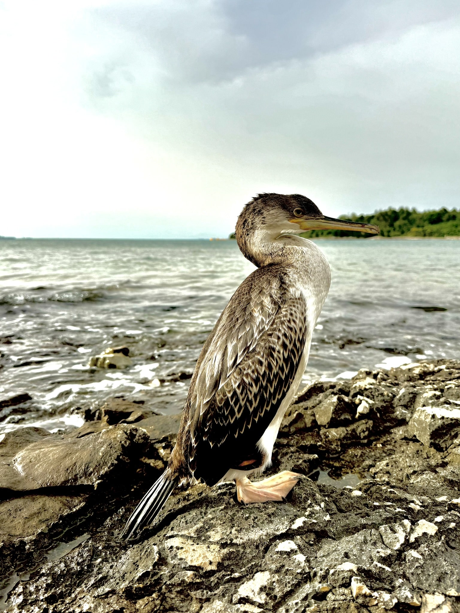 Melina Jurčić Melinadigital Foto