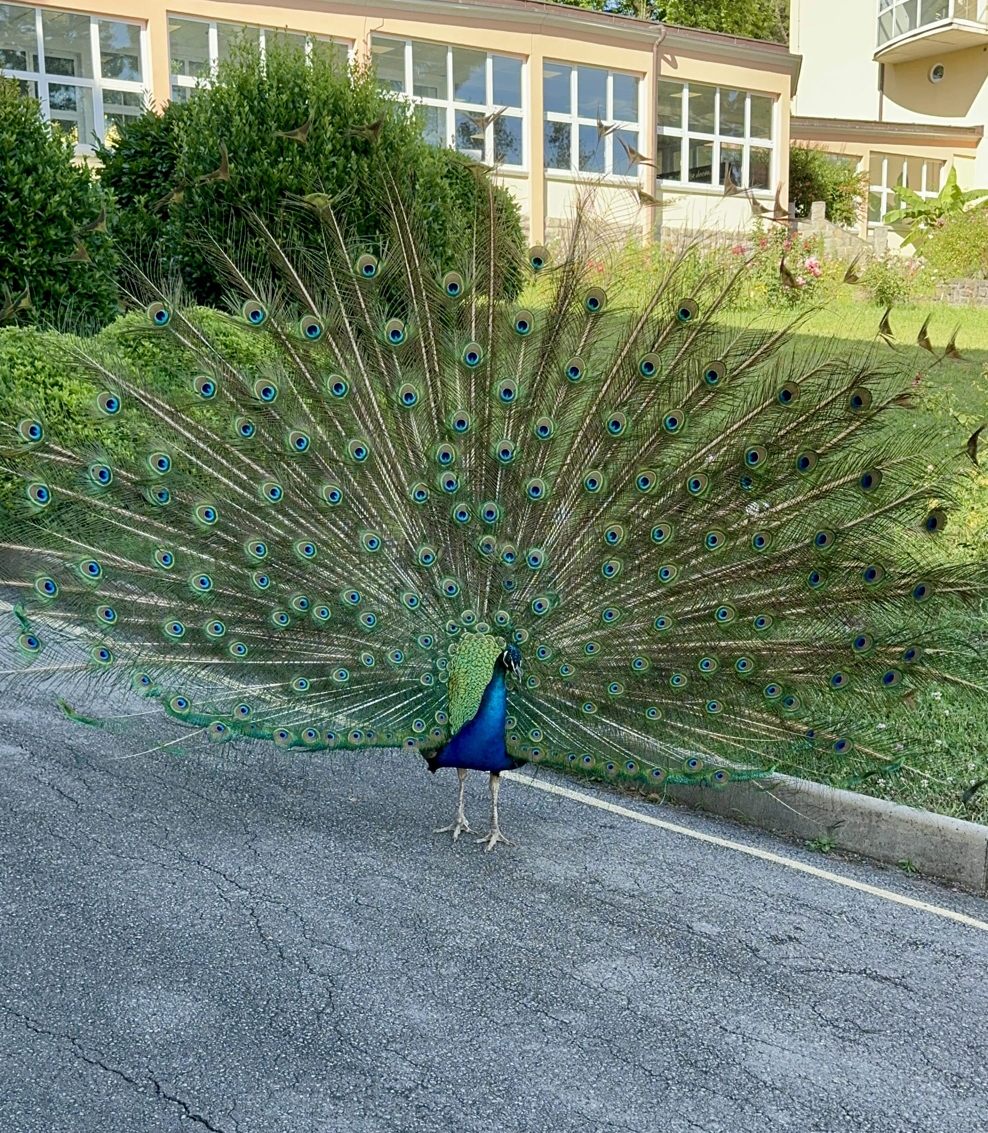 Melina Jurčić Melinadigital Foto