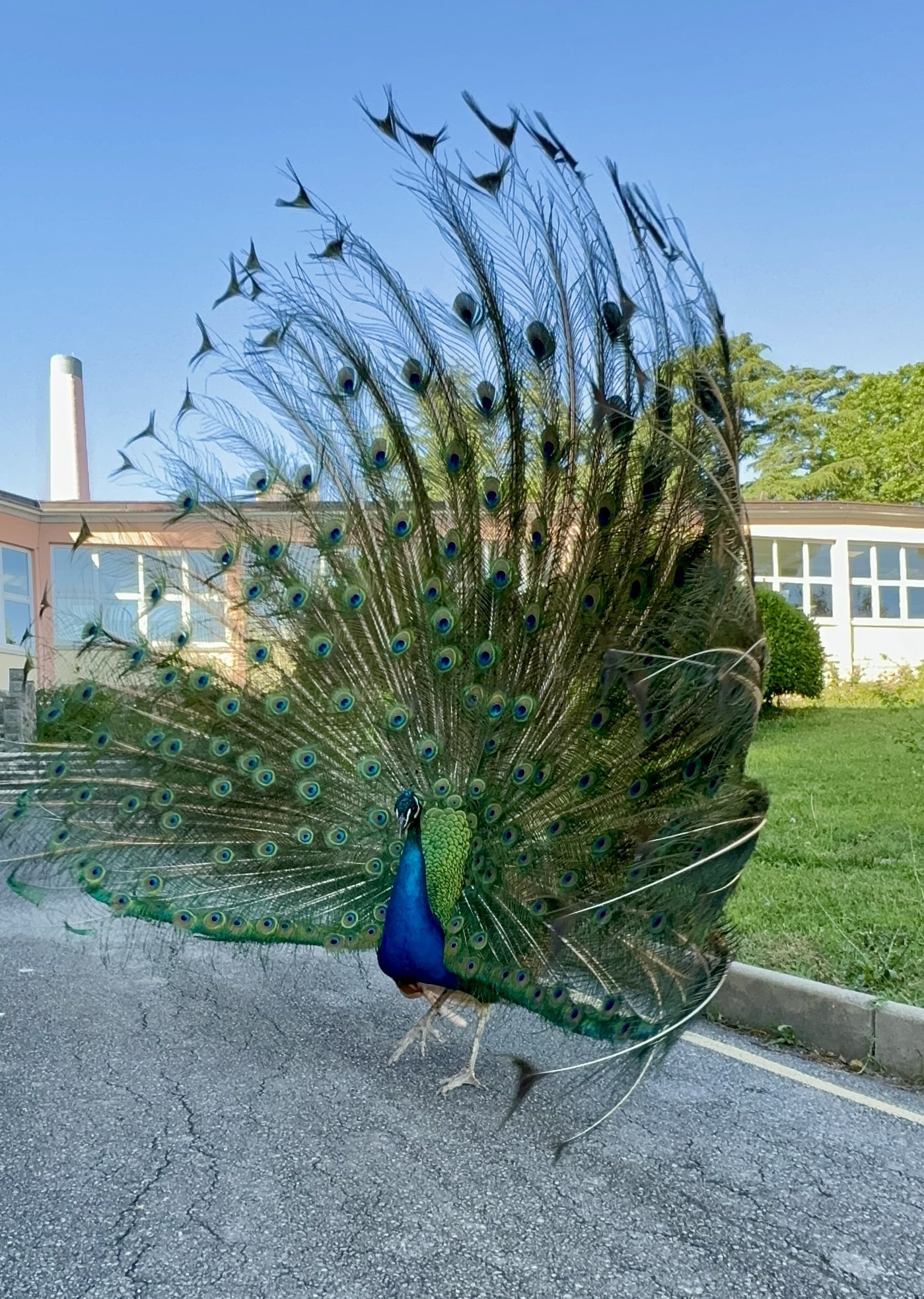 Melina Jurčić Melinadigital Foto