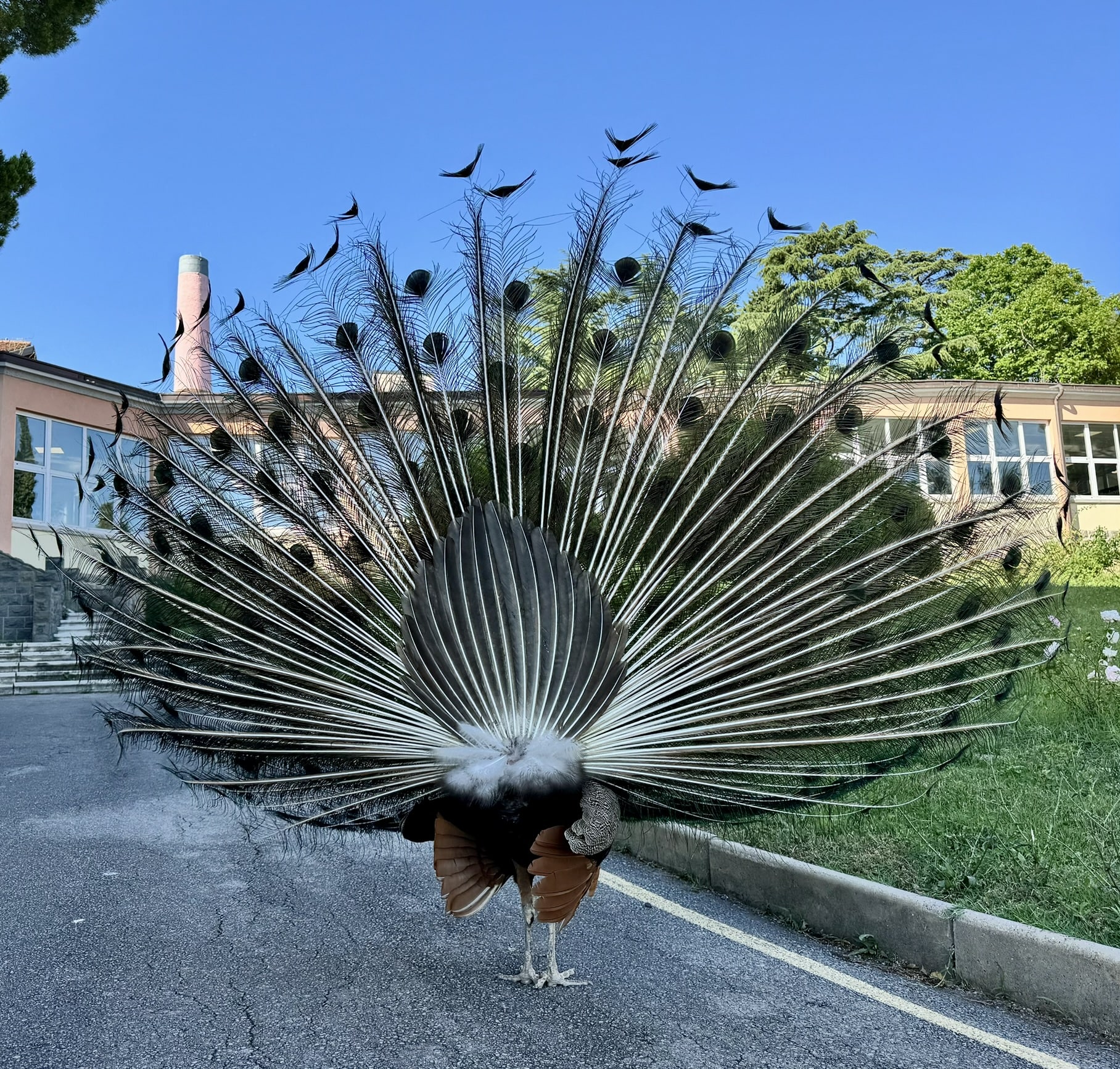 Melina Jurčić Melinadigital Foto