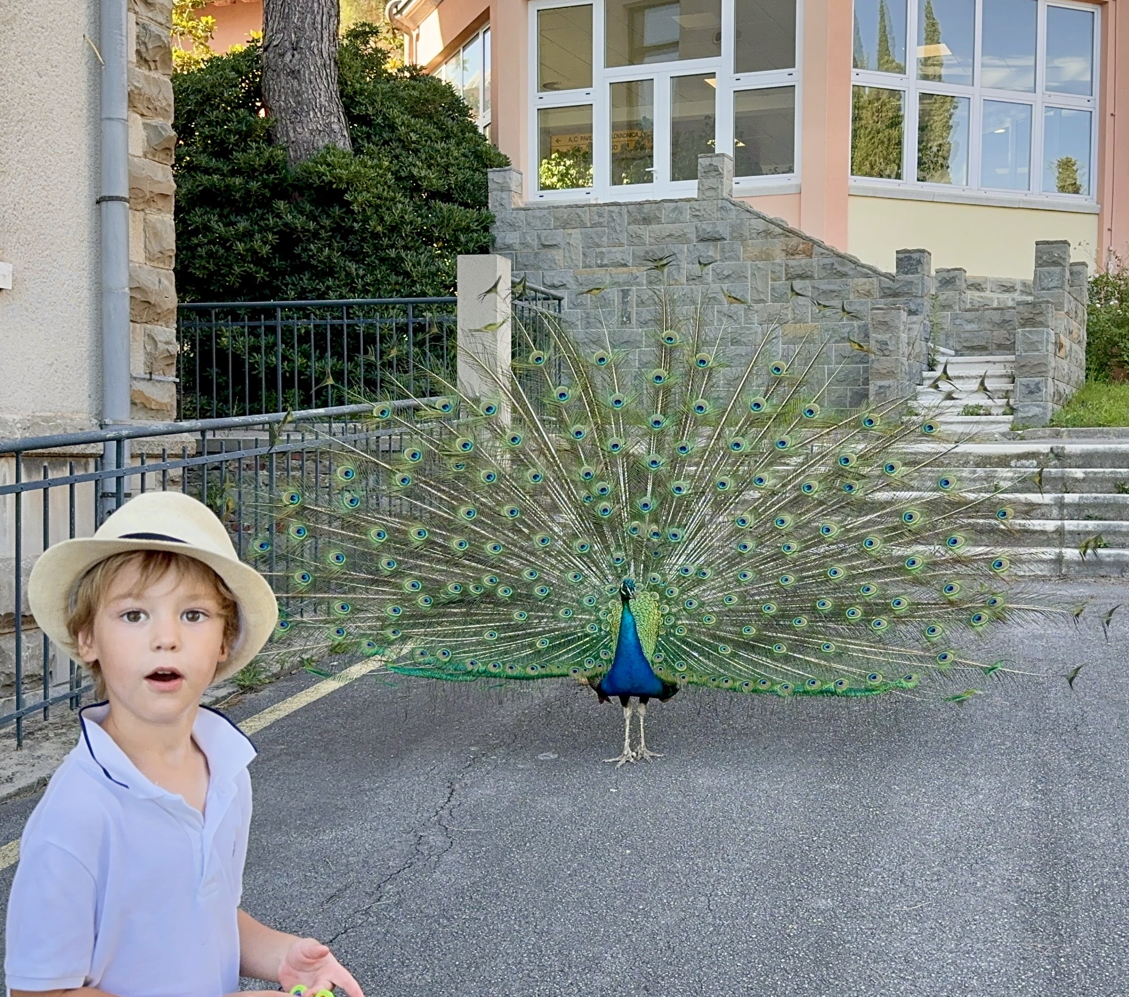 Melina Jurčić Melinadigital Foto