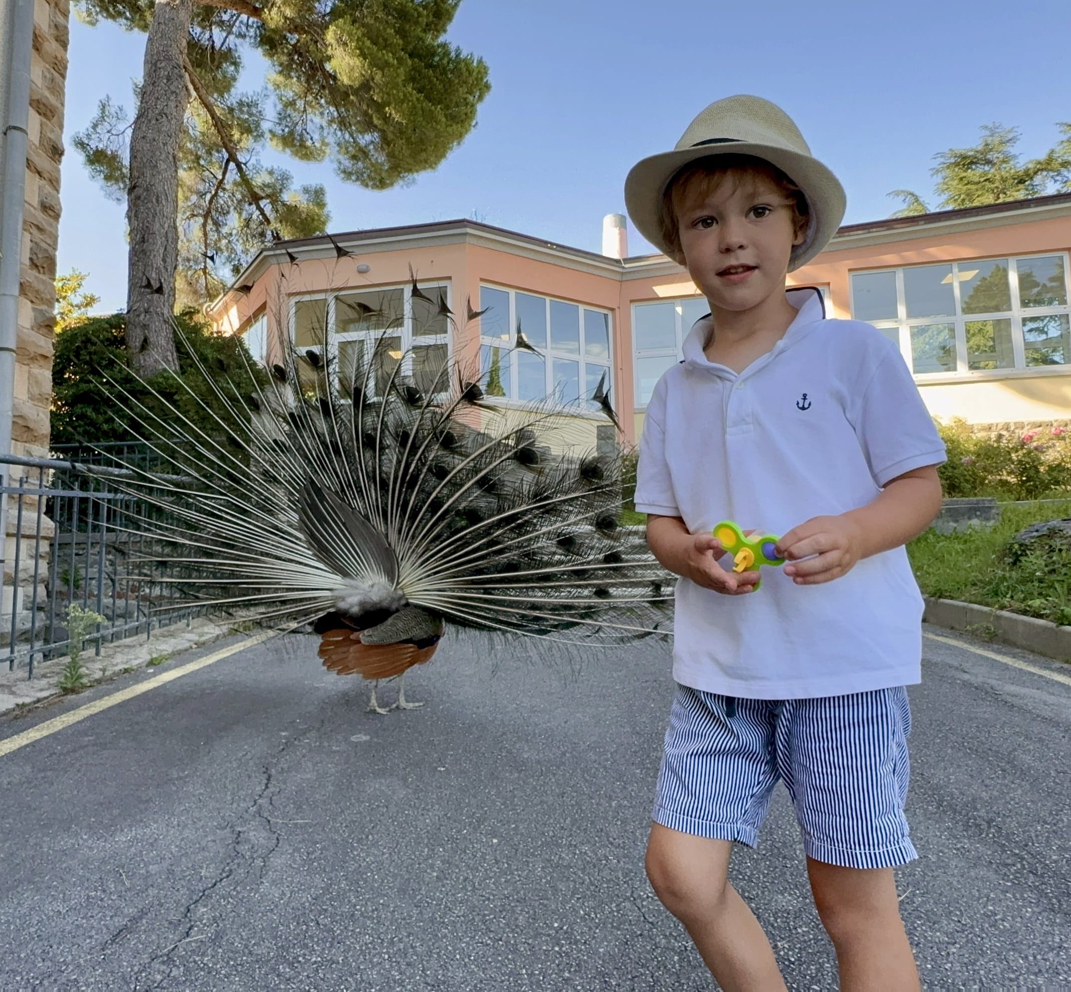 Melina Jurčić Melinadigital Foto