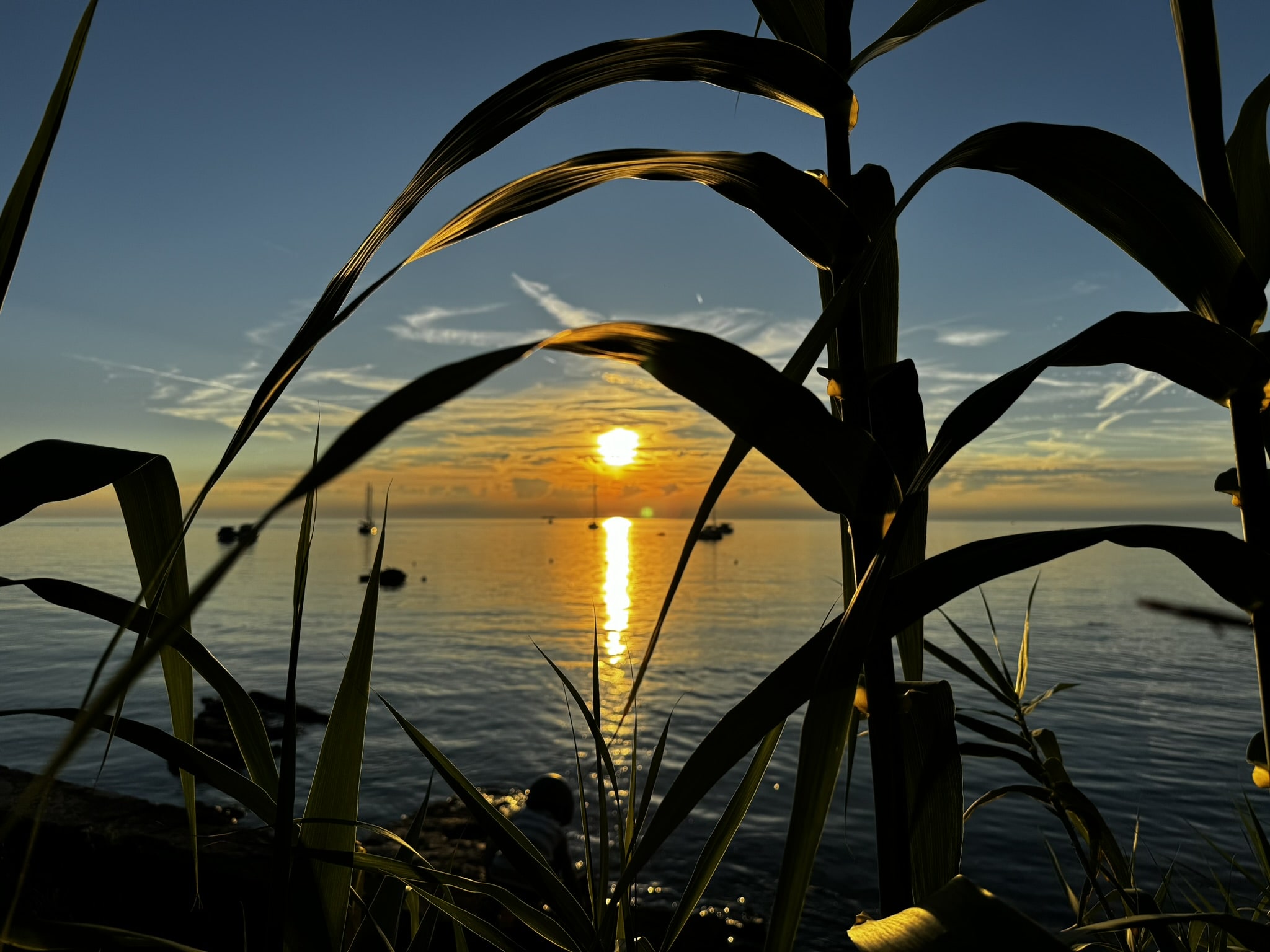 Melina Jurčić Melinadigital Foto