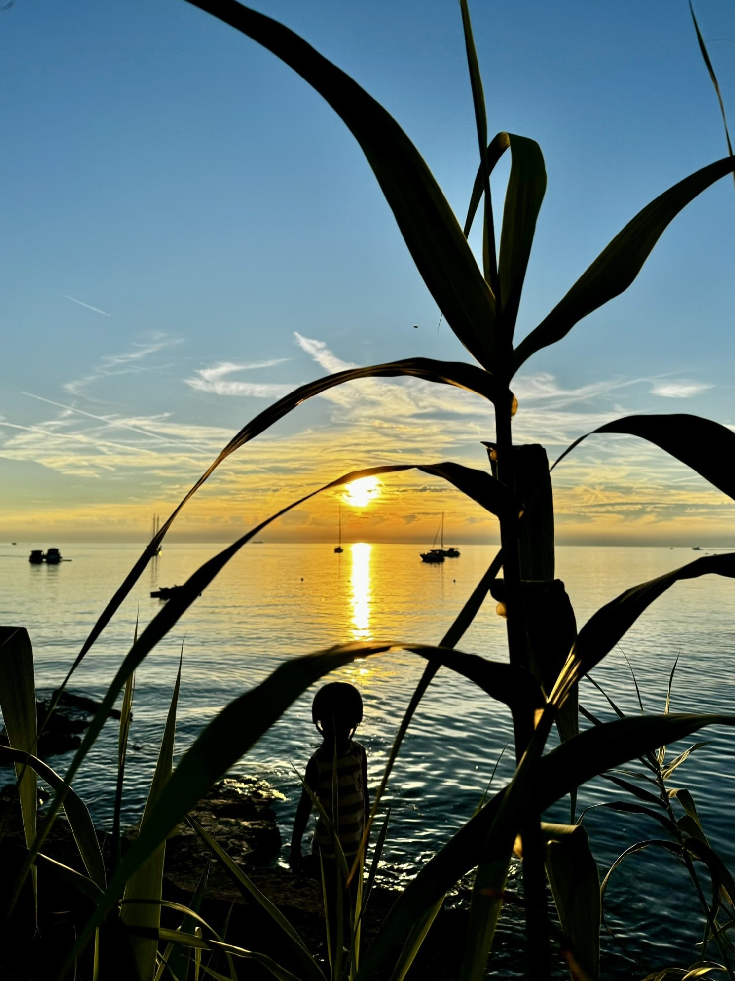 Melina Jurčić Melinadigital Foto