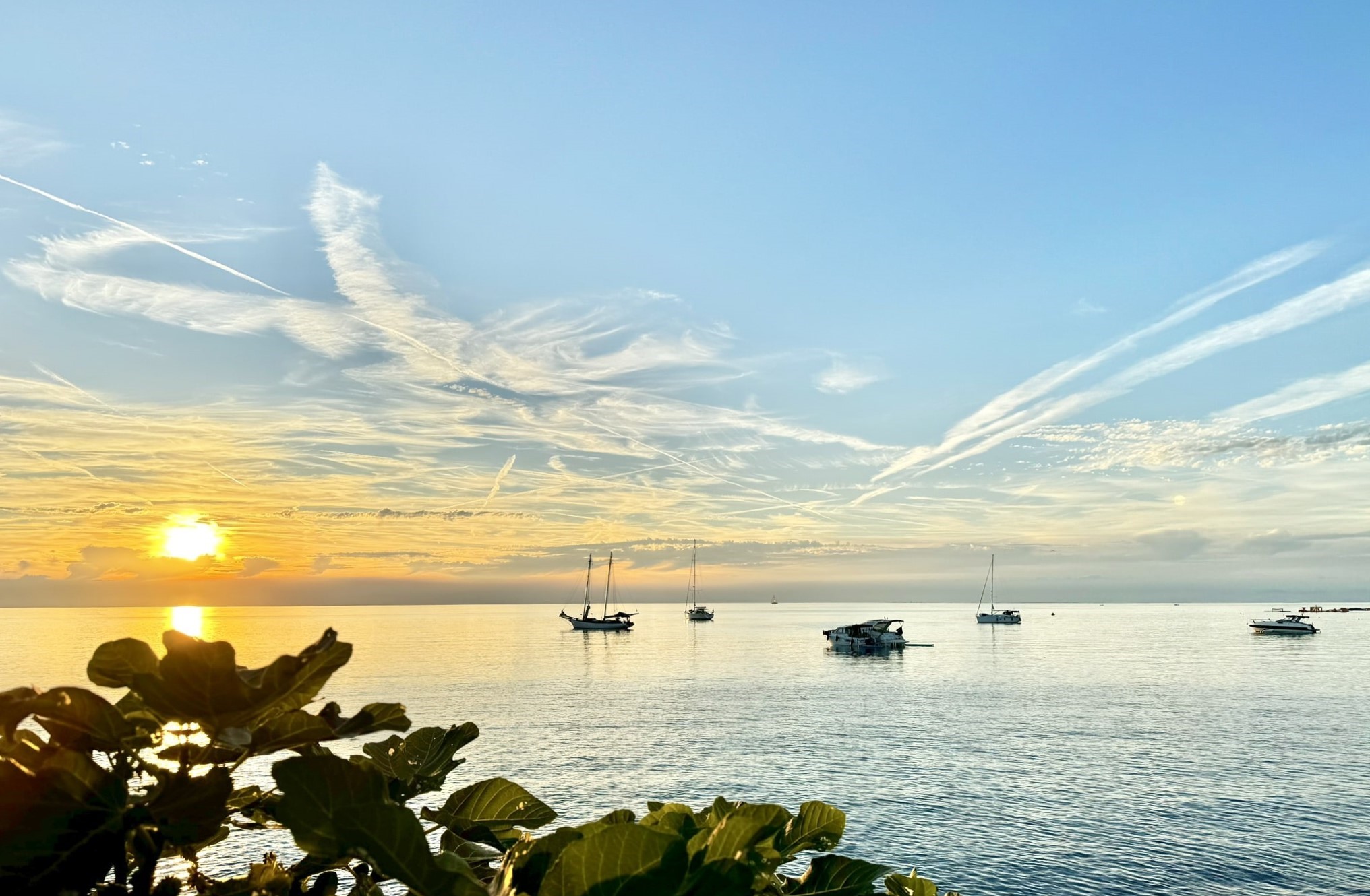 Melina Jurčić Melinadigital Foto