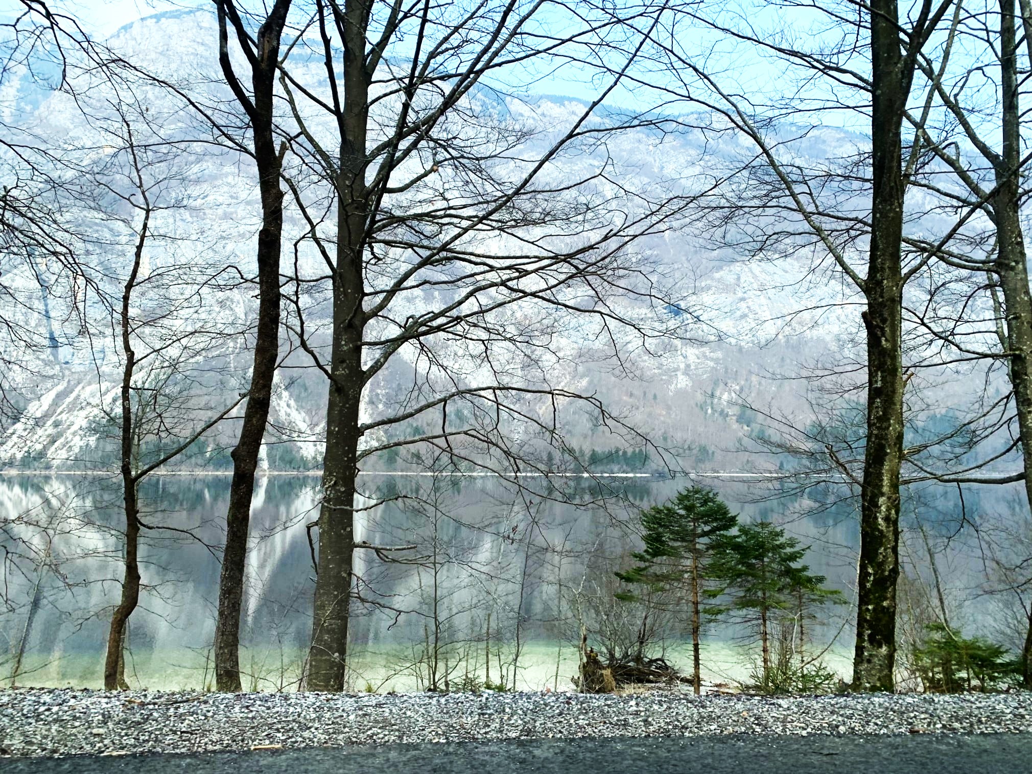 Melina Jurčić Melinadigital Foto