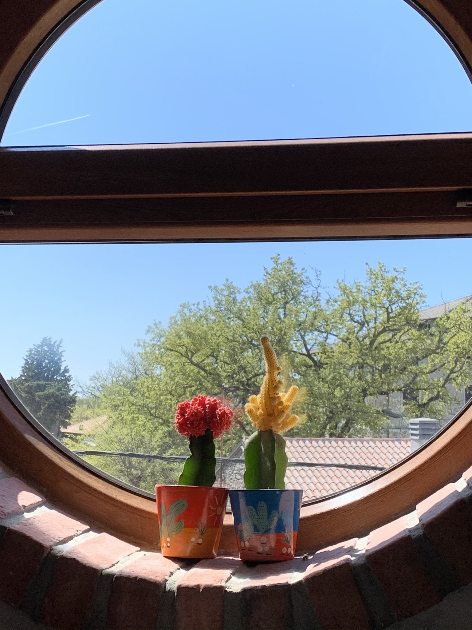 Melina Jurčić Melinadigital Foto