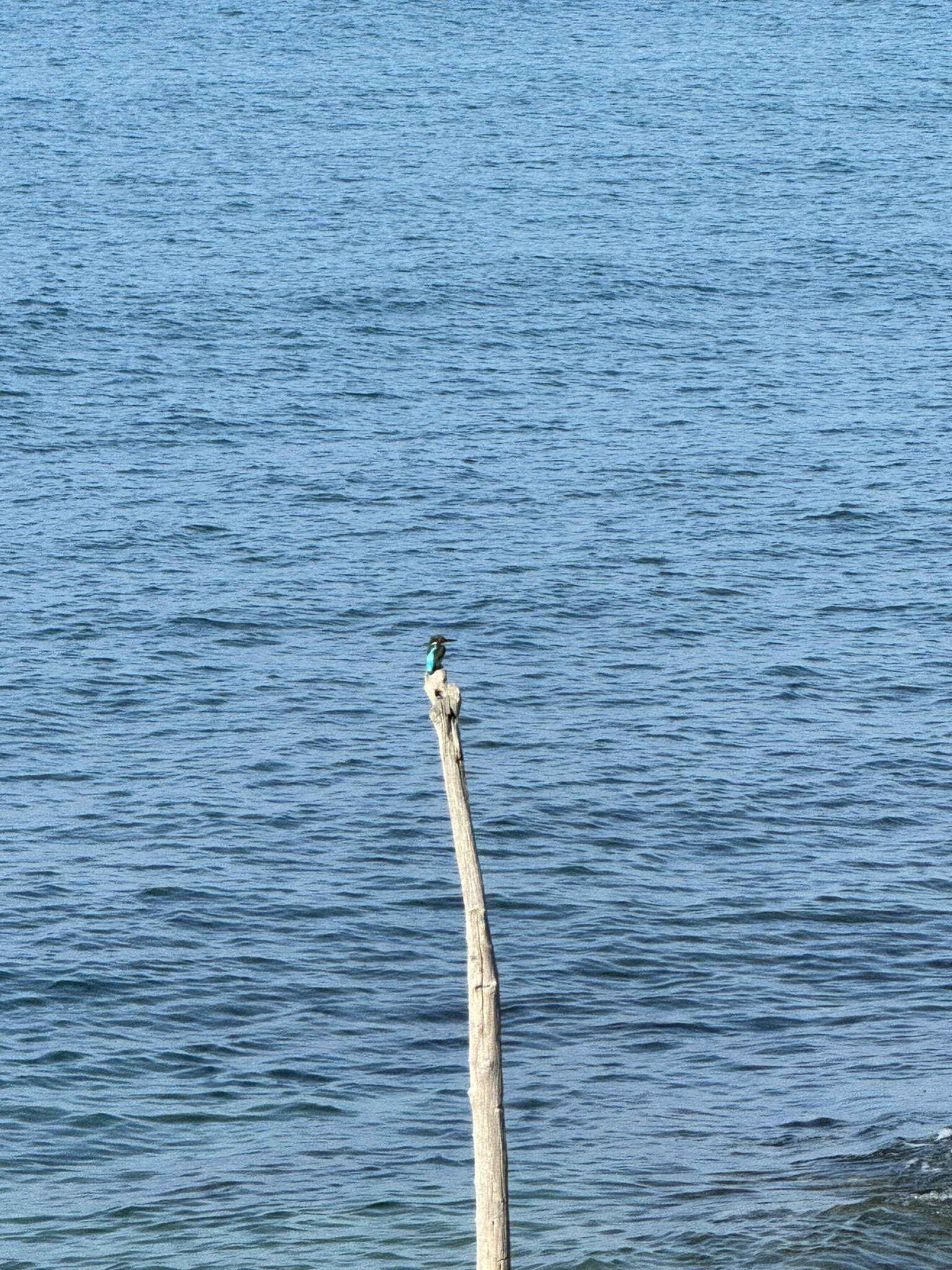 Melina Jurčić Melinadigital Foto