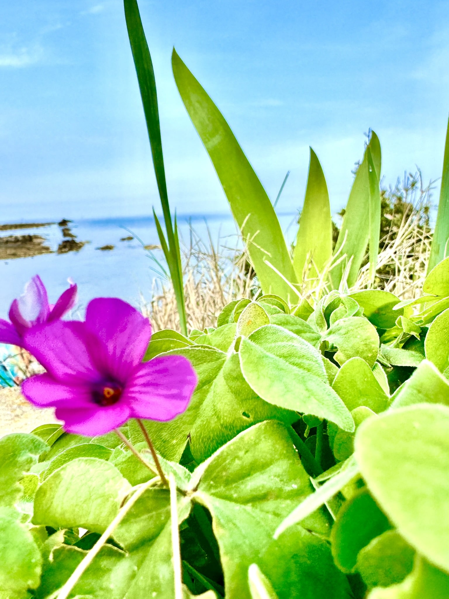 Melina Jurčić Melinadigital Foto